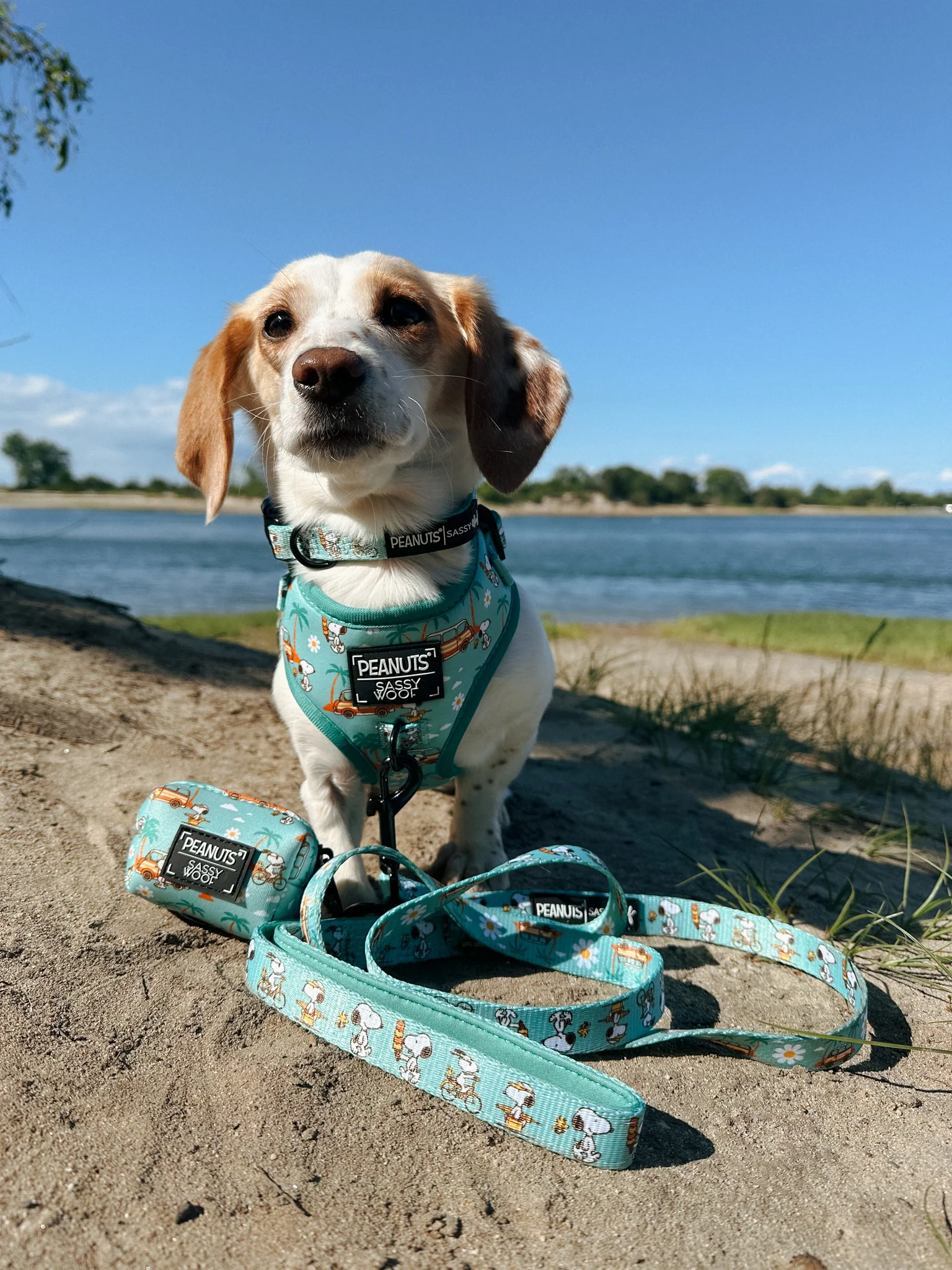 Dog Leash - Peanuts™ Road Tripping - Image 11