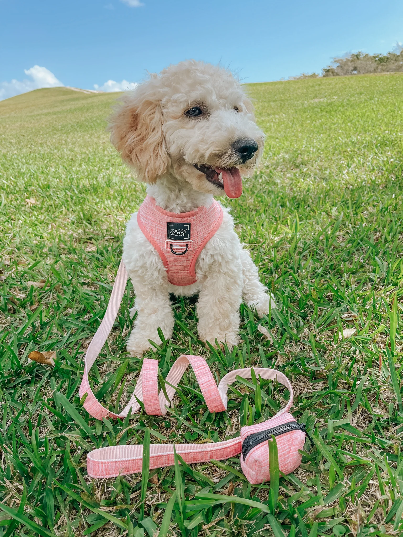 Dog Waste Bag Holder - Dolce Rose - Image 7