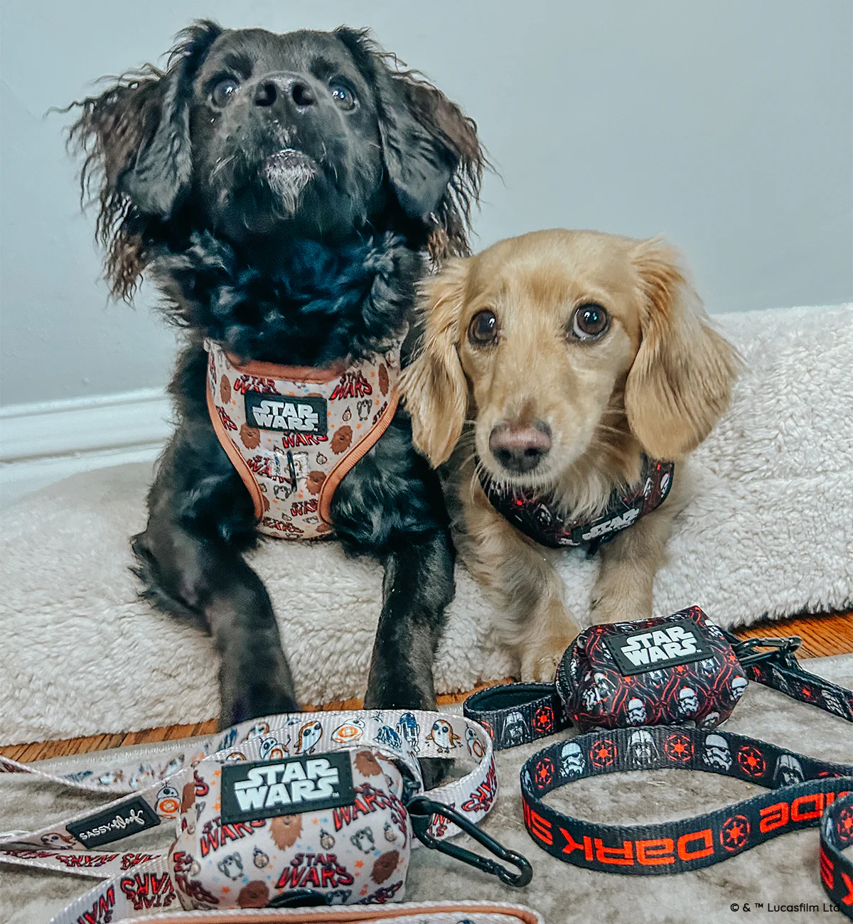 Dog Waste Bag Holder - STAR WARS™ The Dark Side - Image 8