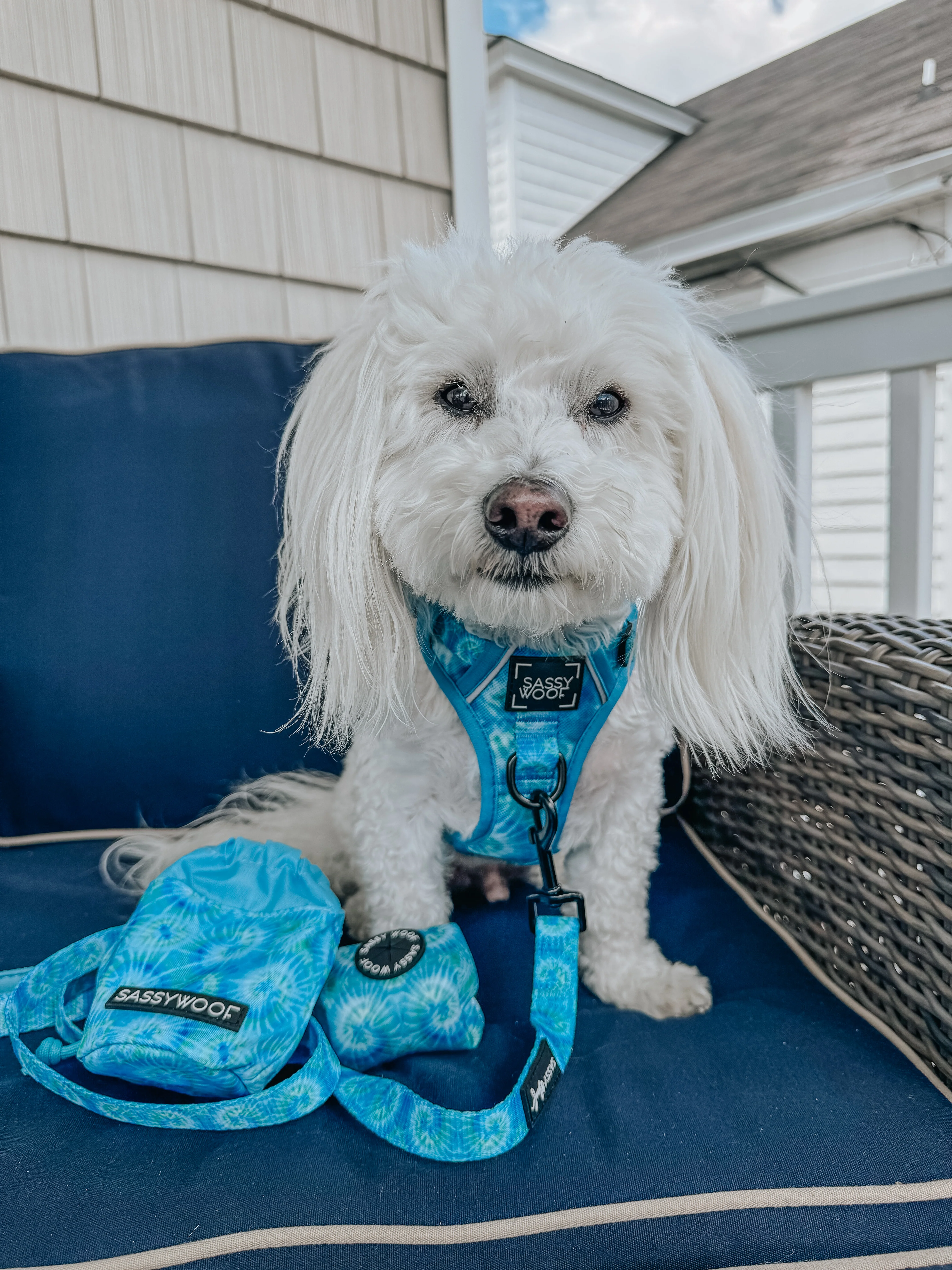 Dog Waste Bag Holder - Tropical Tides - Image 4