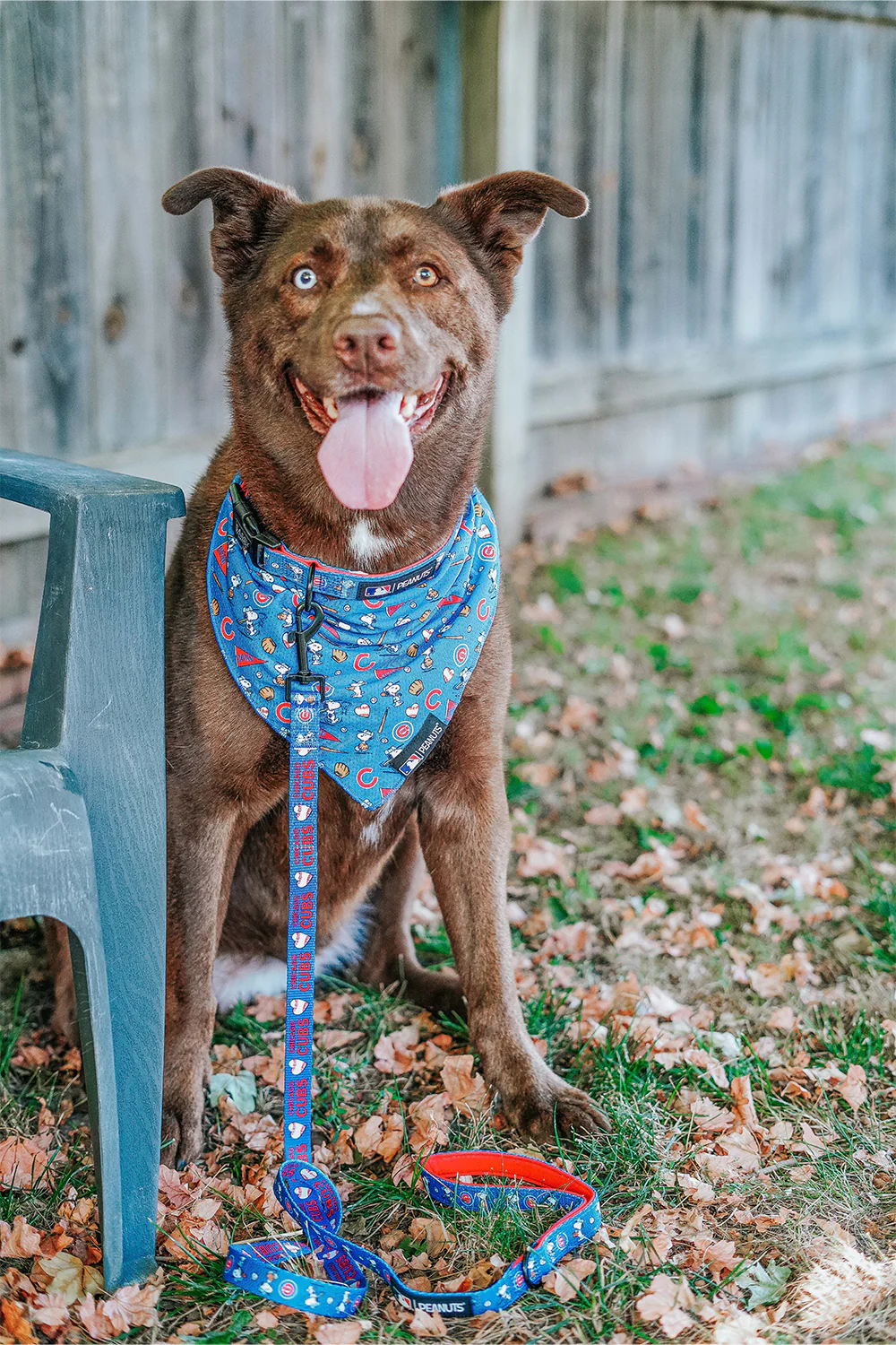 Harness Three Piece Bundle - MLB™ x Peanuts™ Chicago Cubs™ - Image 9