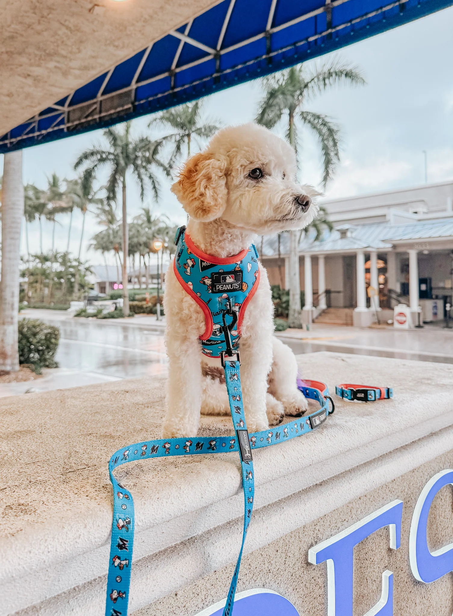 Harness Three Piece Bundle - MLB™ x Peanuts™ Miami Marlins™ - Image 10