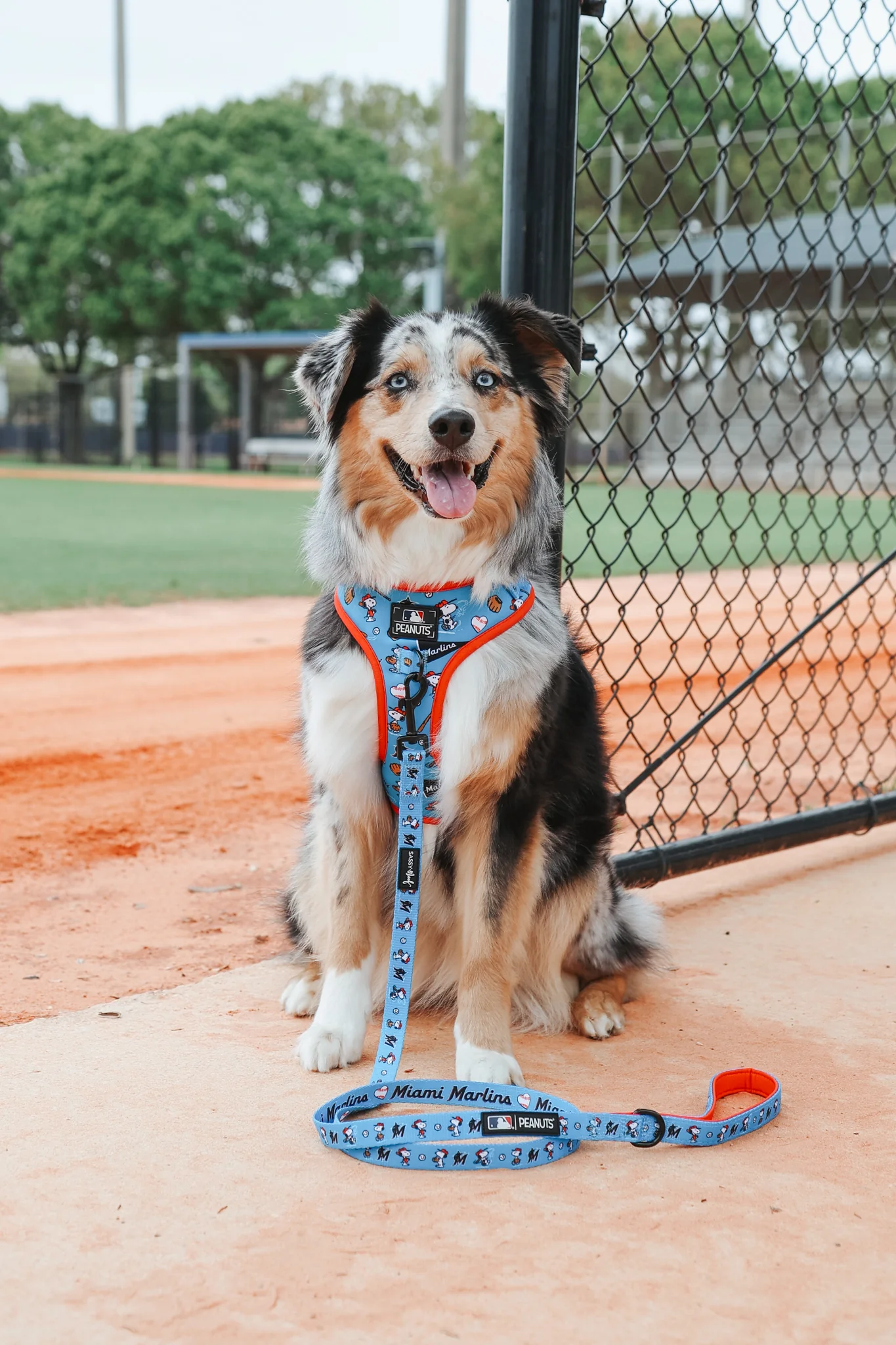 Harness Three Piece Bundle - MLB™ x Peanuts™ Miami Marlins™ - Image 11