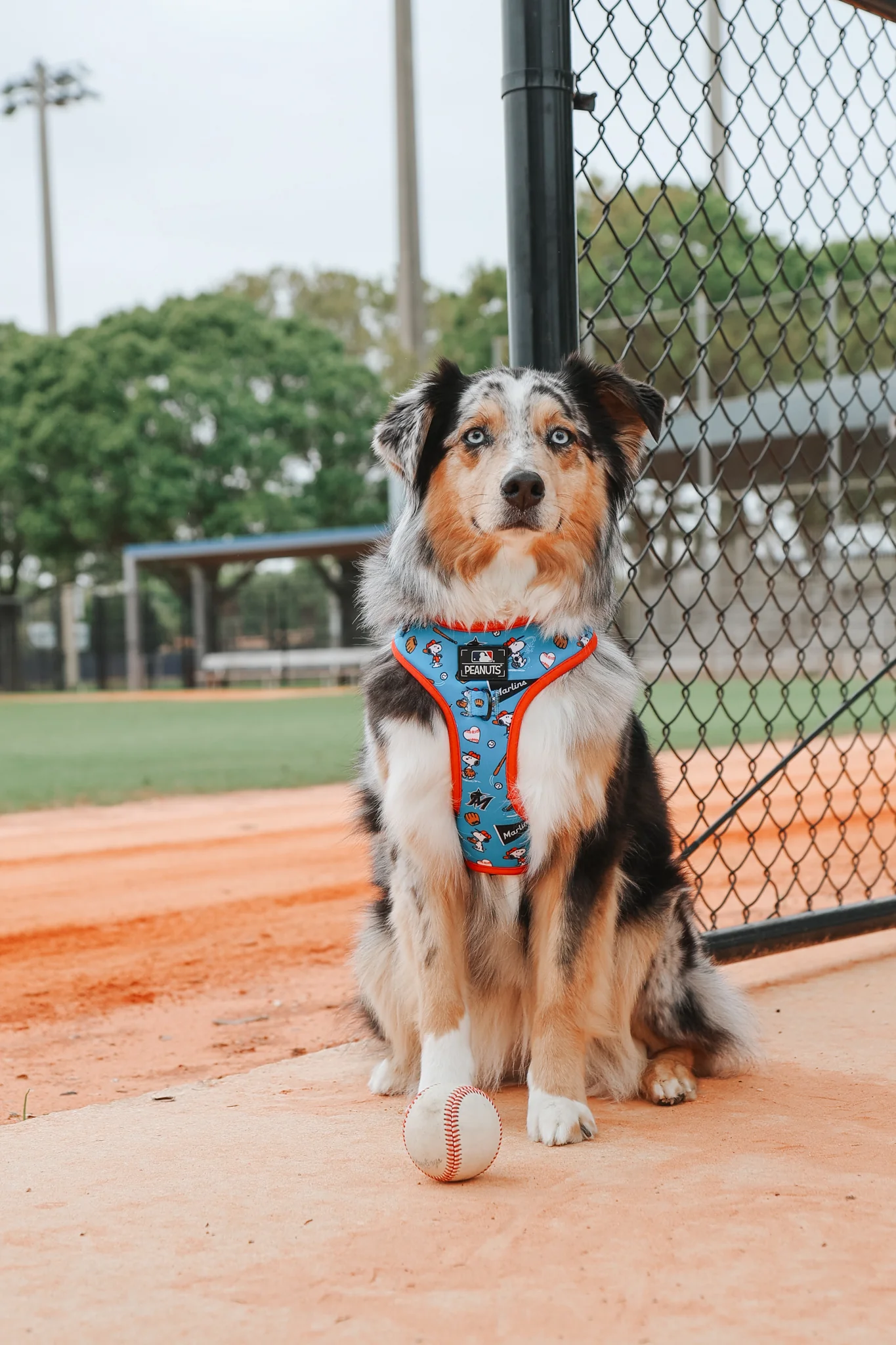 Harness Three Piece Bundle - MLB™ x Peanuts™ Miami Marlins™ - Image 14