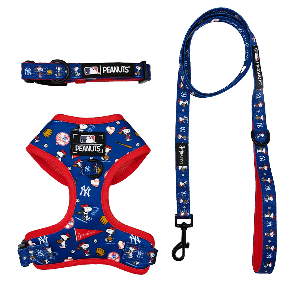MLB™ x Peanuts™ New York Yankees