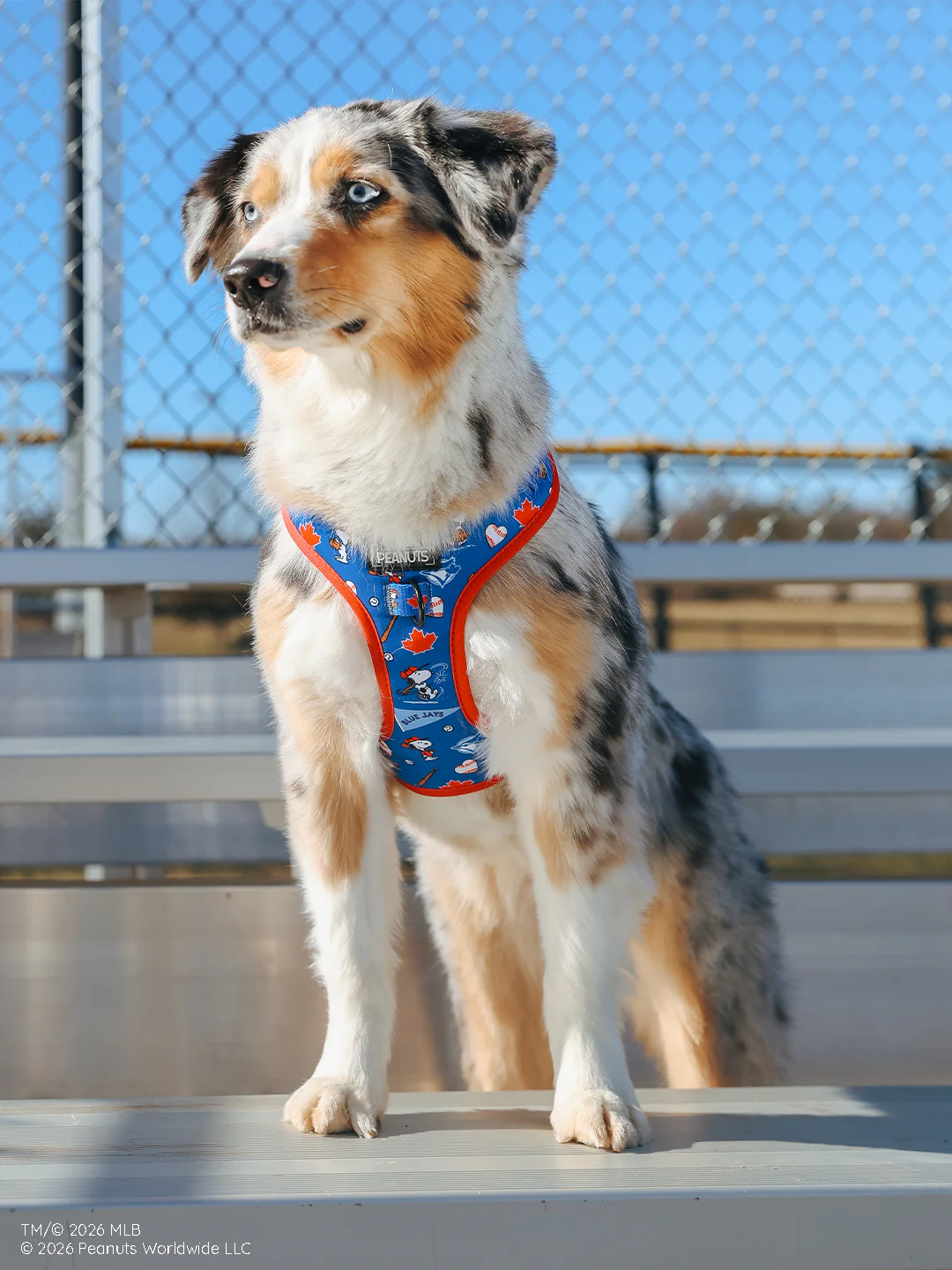 Harness Three Piece Bundle - MLB™ x Peanuts™ Toronto Blue Jays™ - Image 11