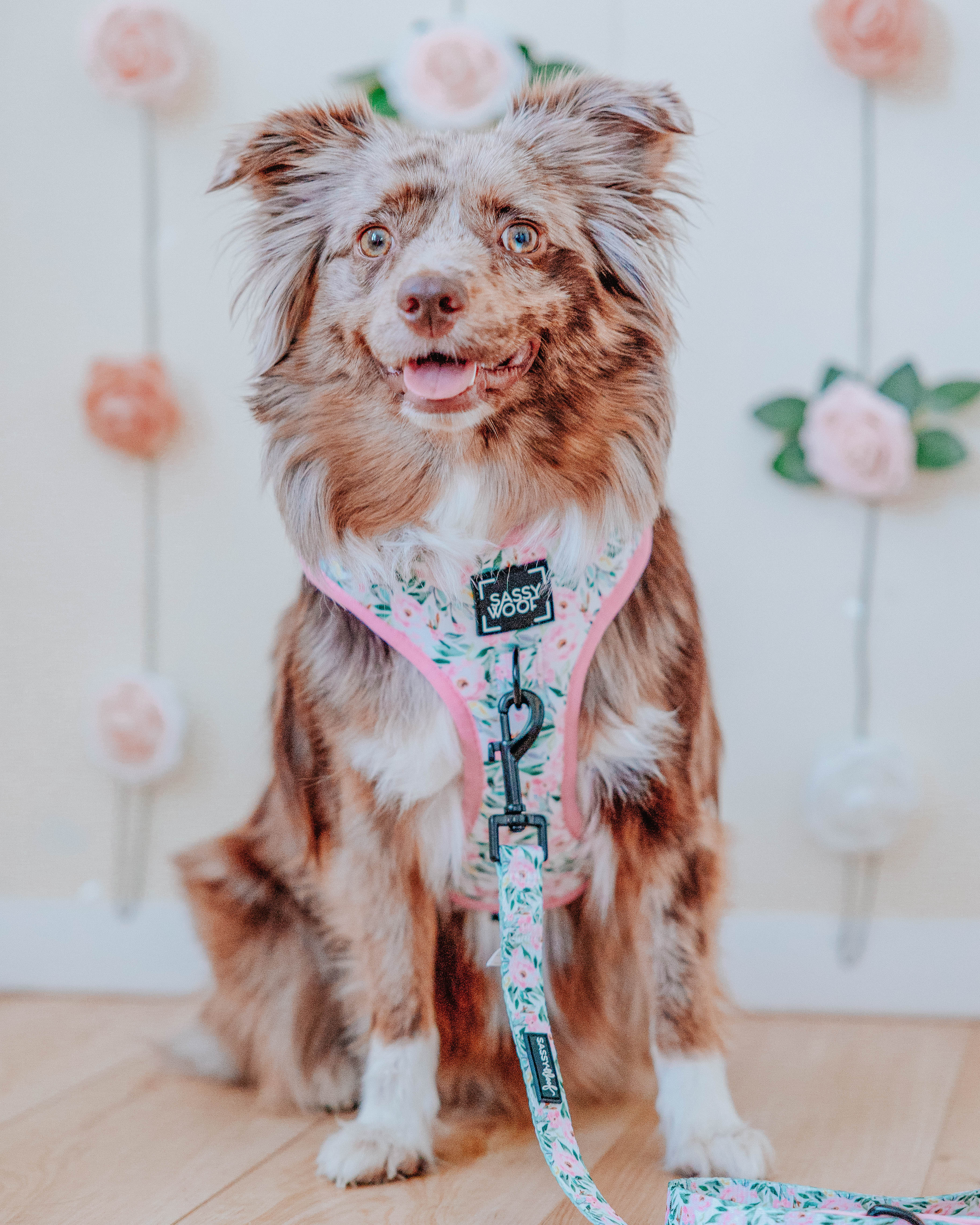 Dog Leash - Magnolia - Image 6