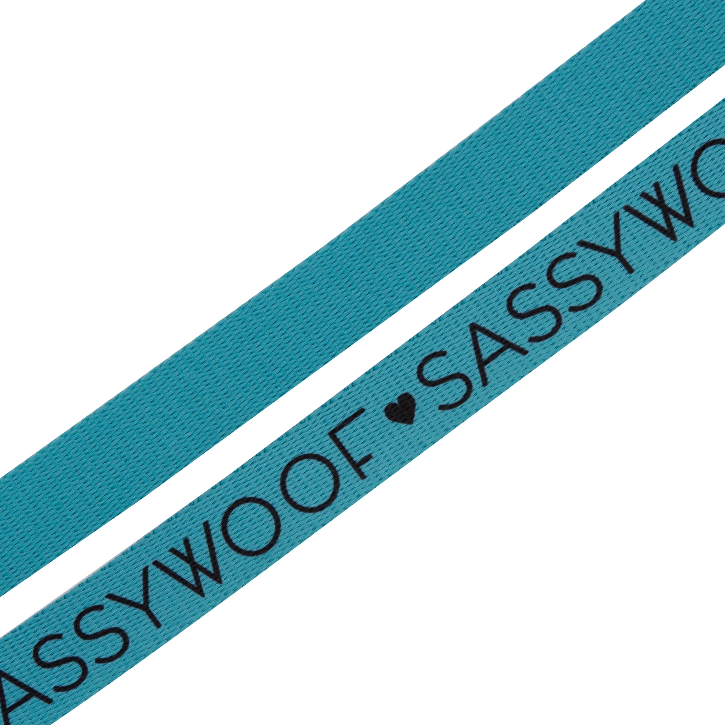 Dog Leash - Neon Blue - Image 3