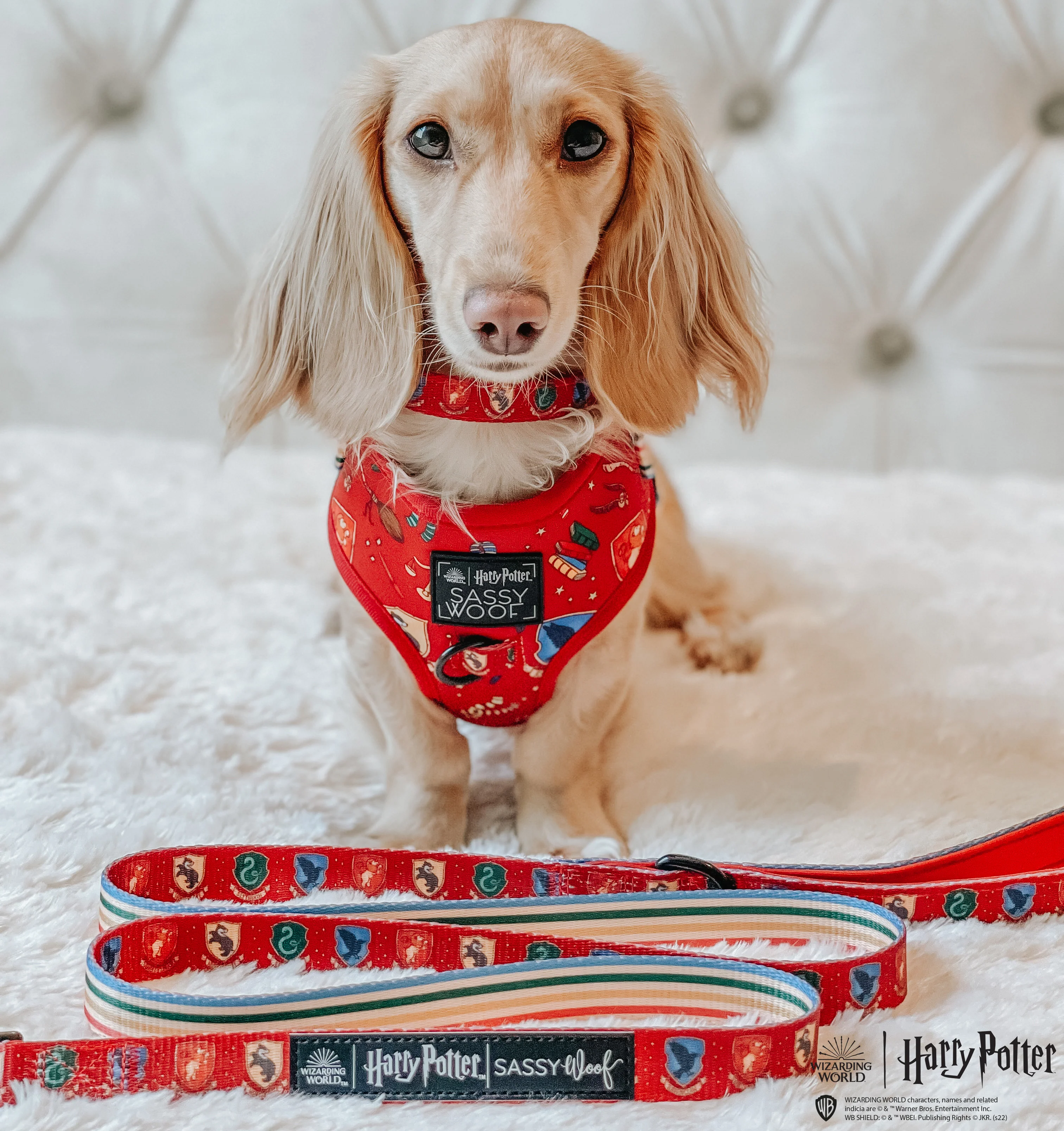 Dog Leash - Harry Potter™ - Image 9