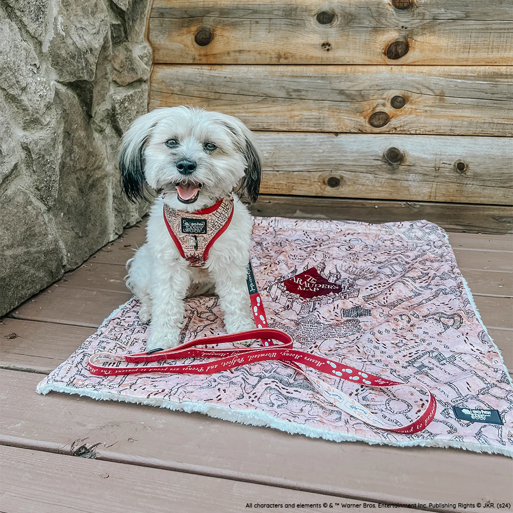 Dog Leash - Harry Potter™ Marauder's Map™ - Image 9