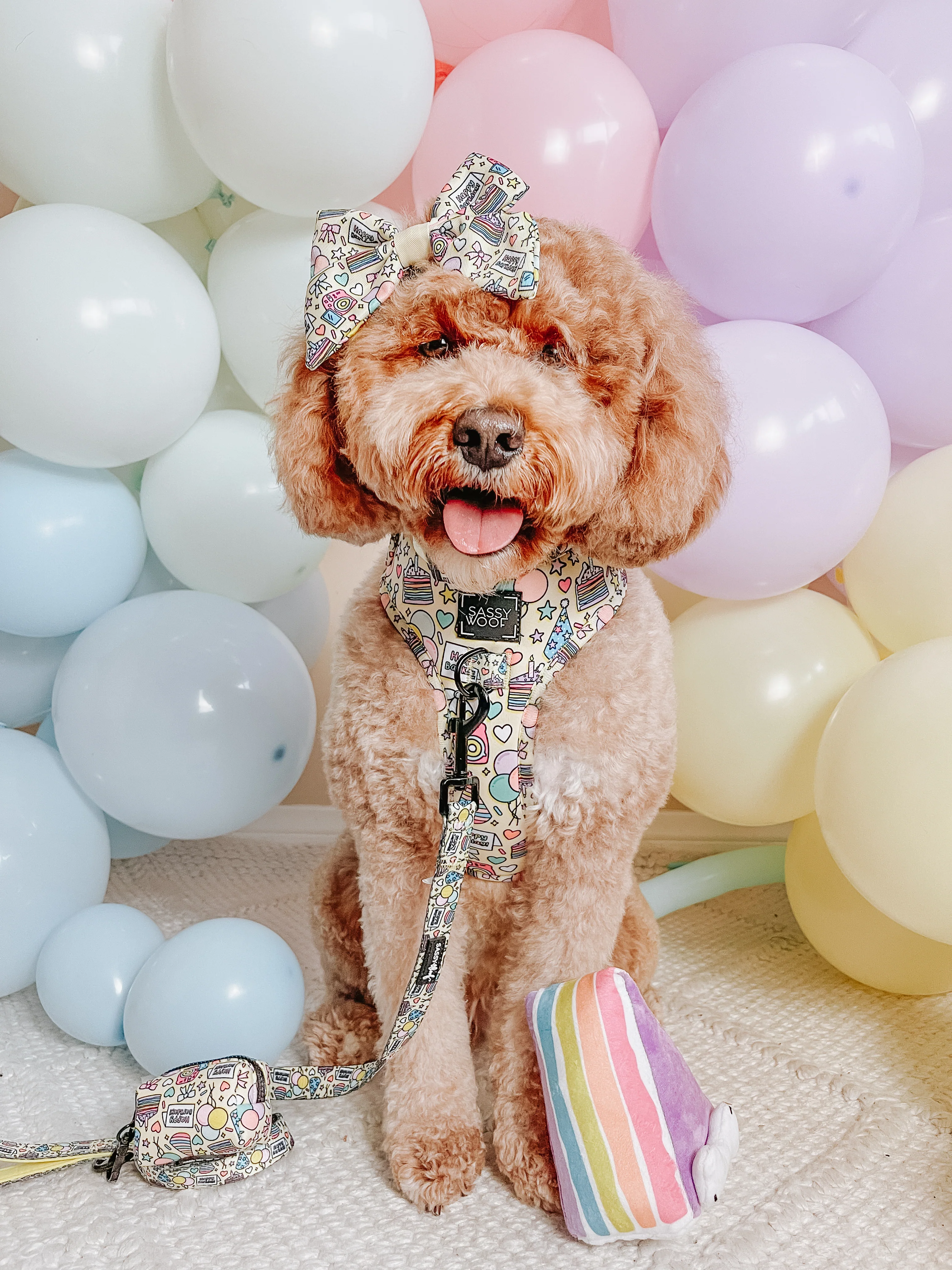 Dog Toy - Barkday Cake - Image 3