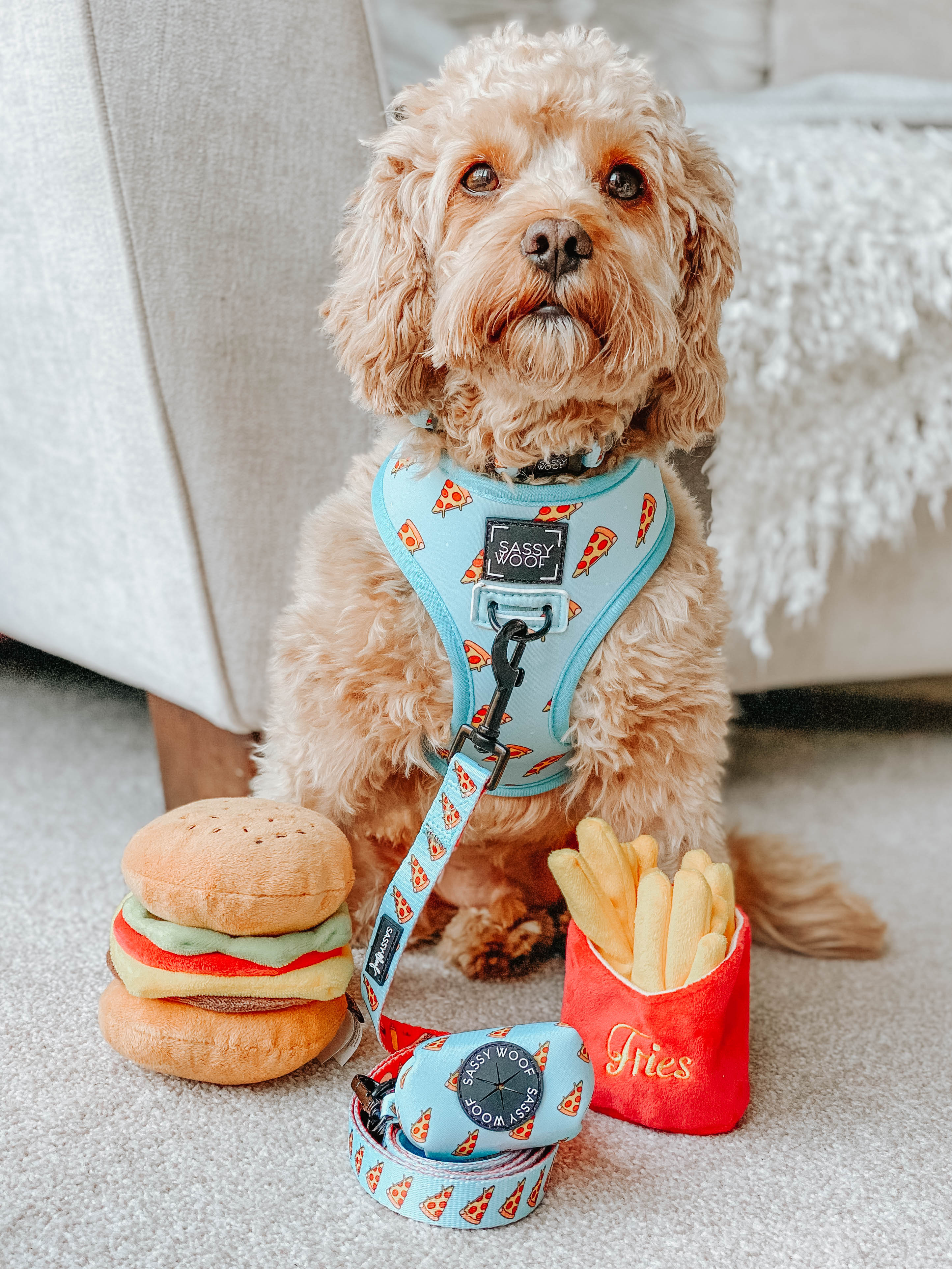 Dog Reversible Harness - One Hot Pupperoni - Image 16