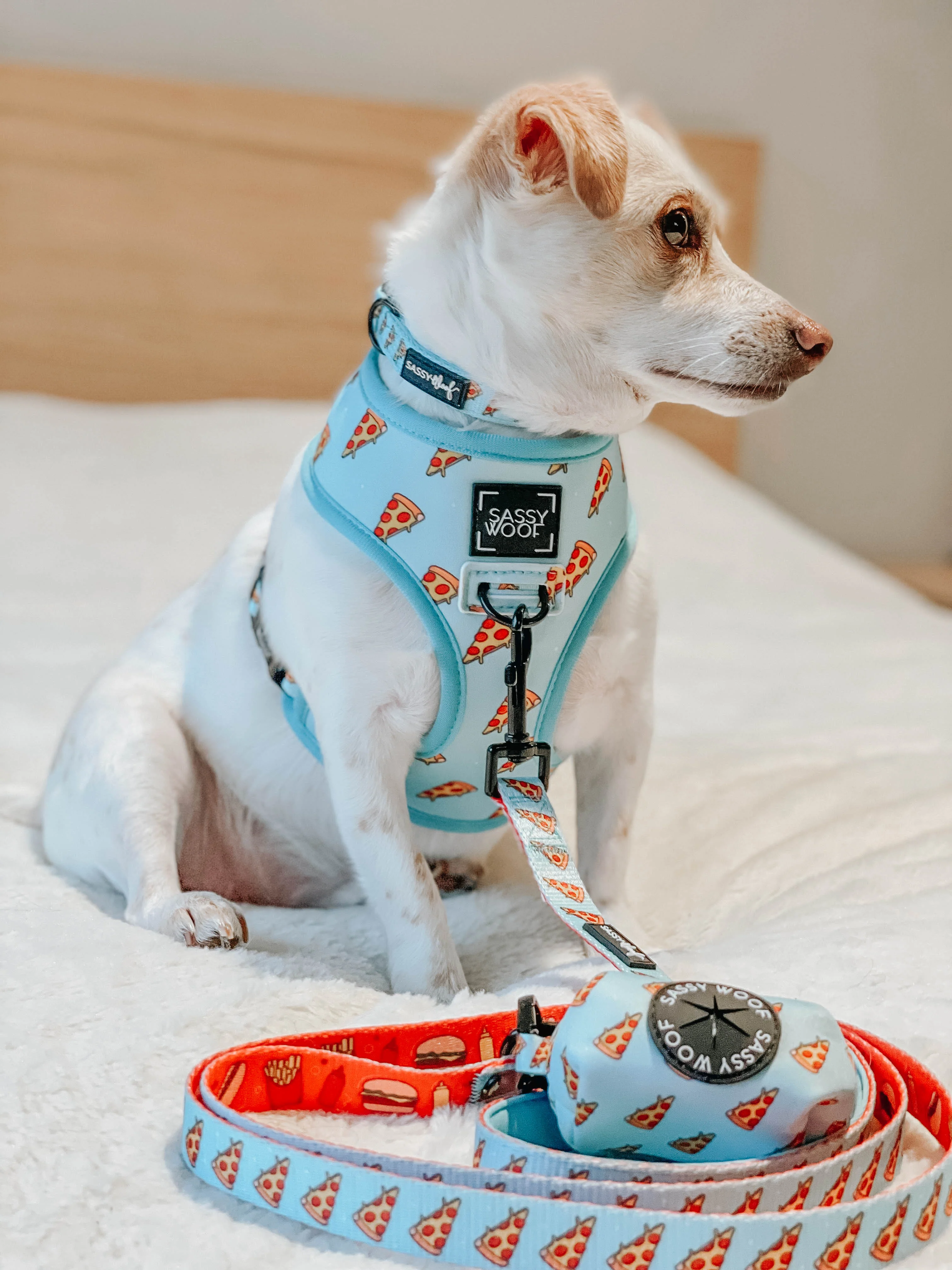 Dog Reversible Harness - One Hot Pupperoni - Image 19
