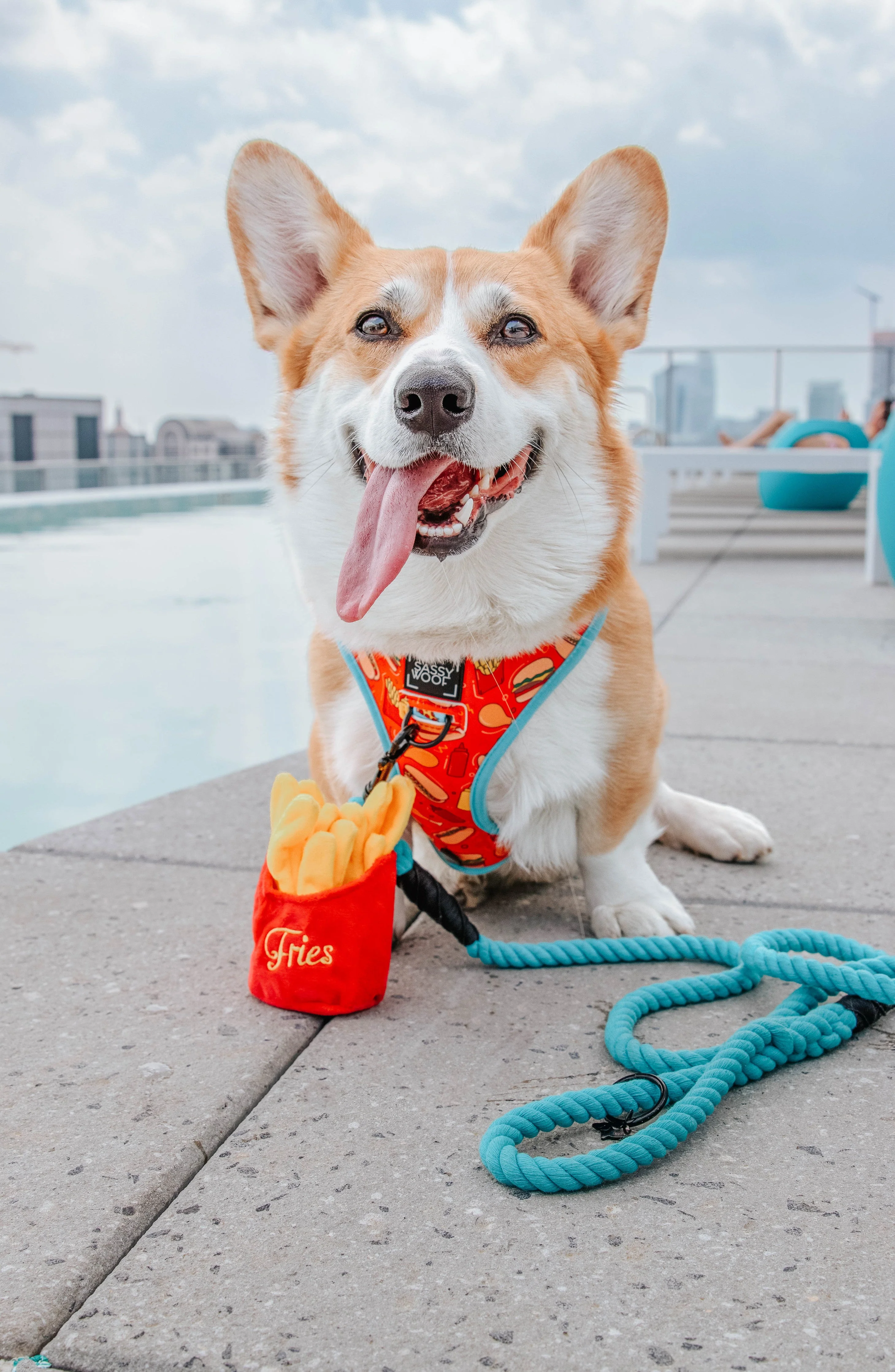 Dog Reversible Harness - One Hot Pupperoni - Image 23