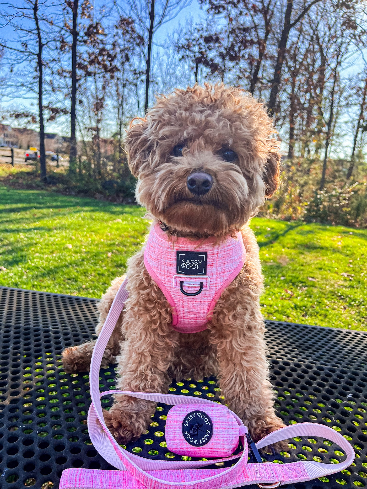 Dog Reversible Harness - Dolce Rose - Image 16