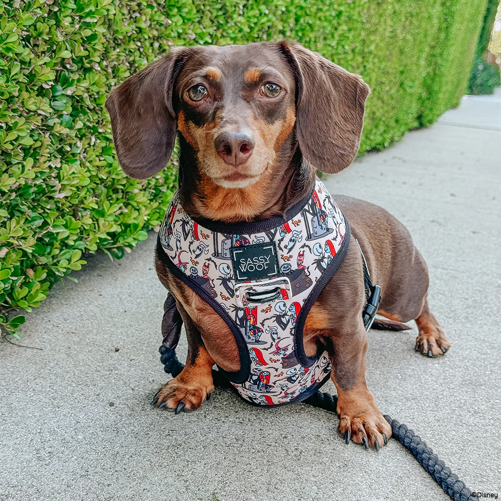 Reversible Harness - The Nightmare Before Christmas™ - Image 16