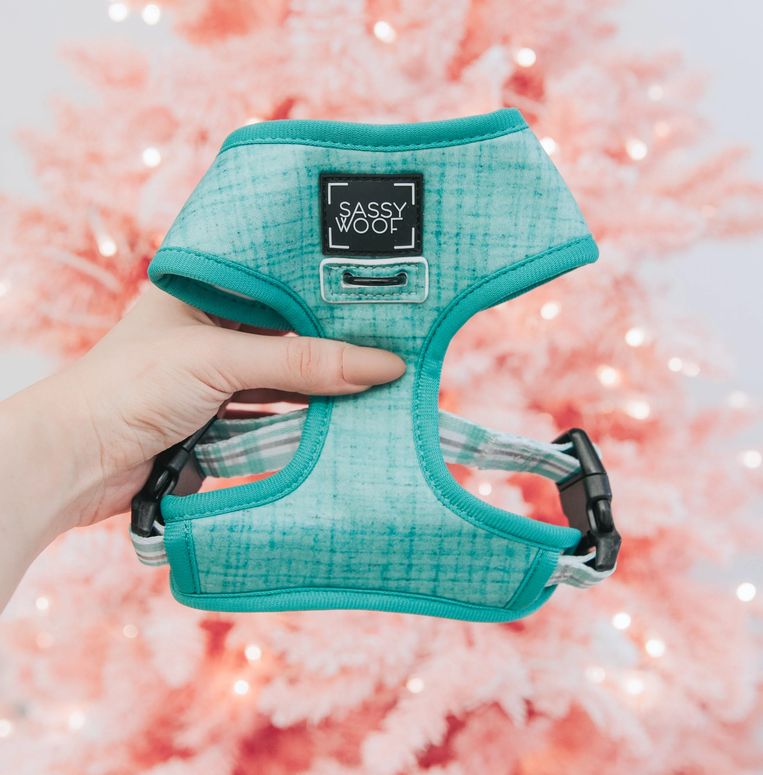 Dog Reversible Harness - Wag Your Teal - Image 9