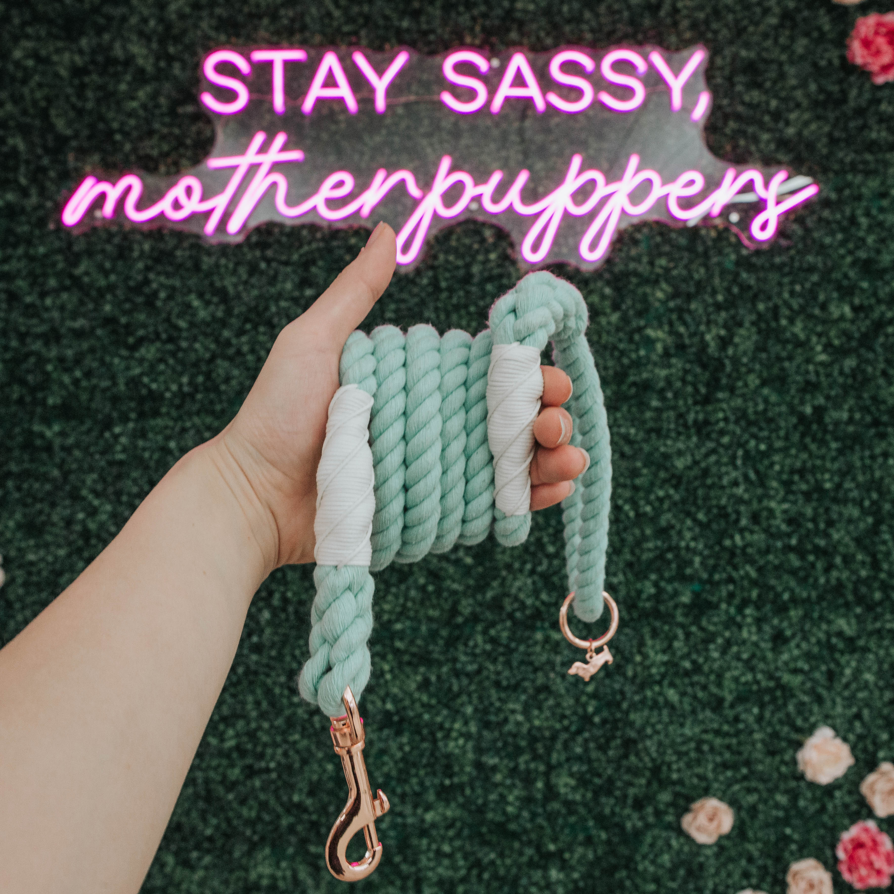 Dog Rope Leash - Mint to Be - Image 4