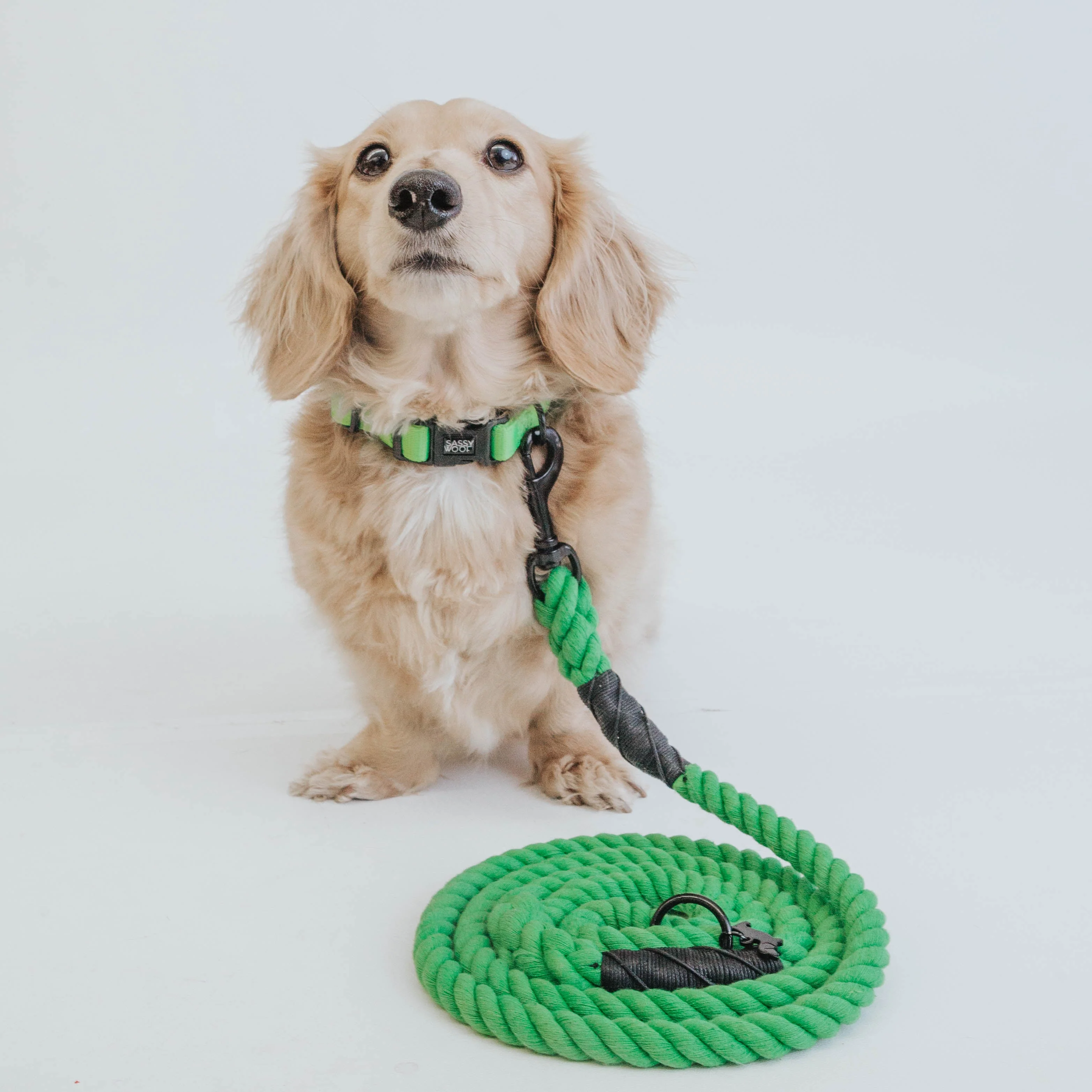 Dog Rope Leash - Neon Green - Image 5