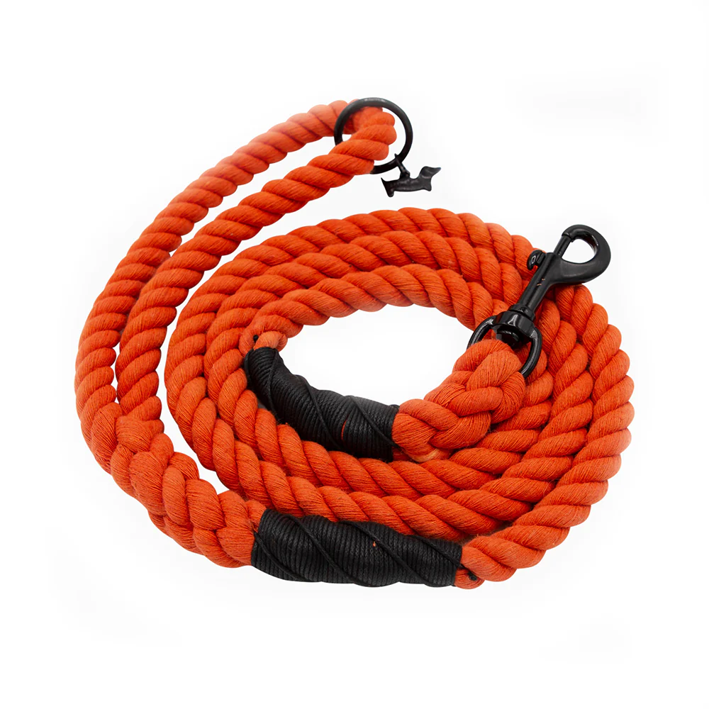 Dog Rope Leash - Neon Orange - Image 2