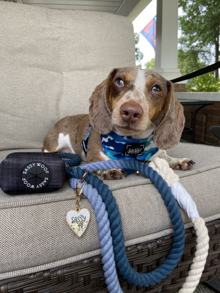 Dog Rope Leash - Ombre Blue - Image 7