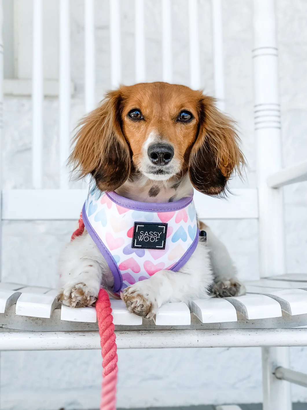 Dog Rope Leash - Ombre Pink - Image 4