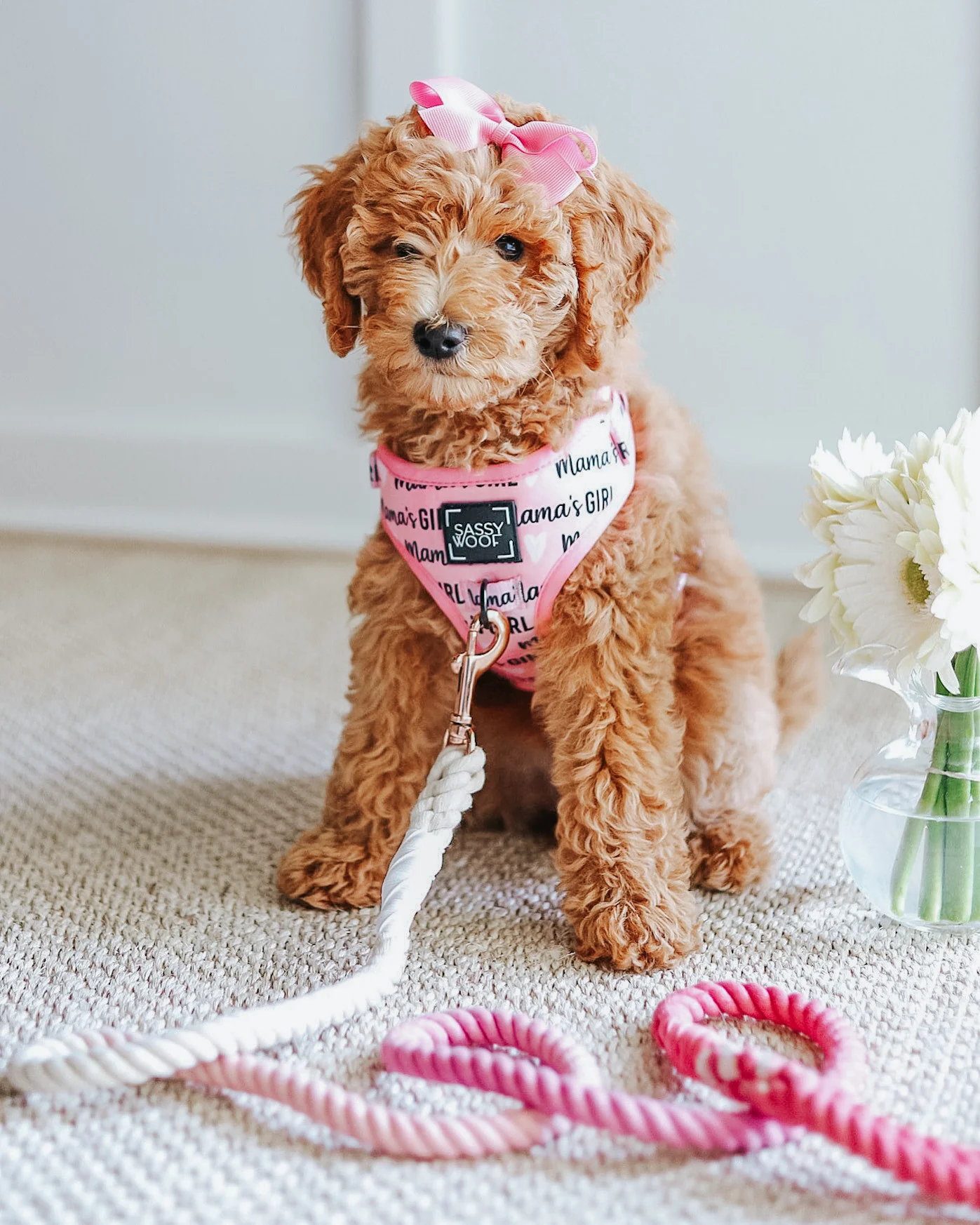 Dog Rope Leash - Ombre Pink - Image 5