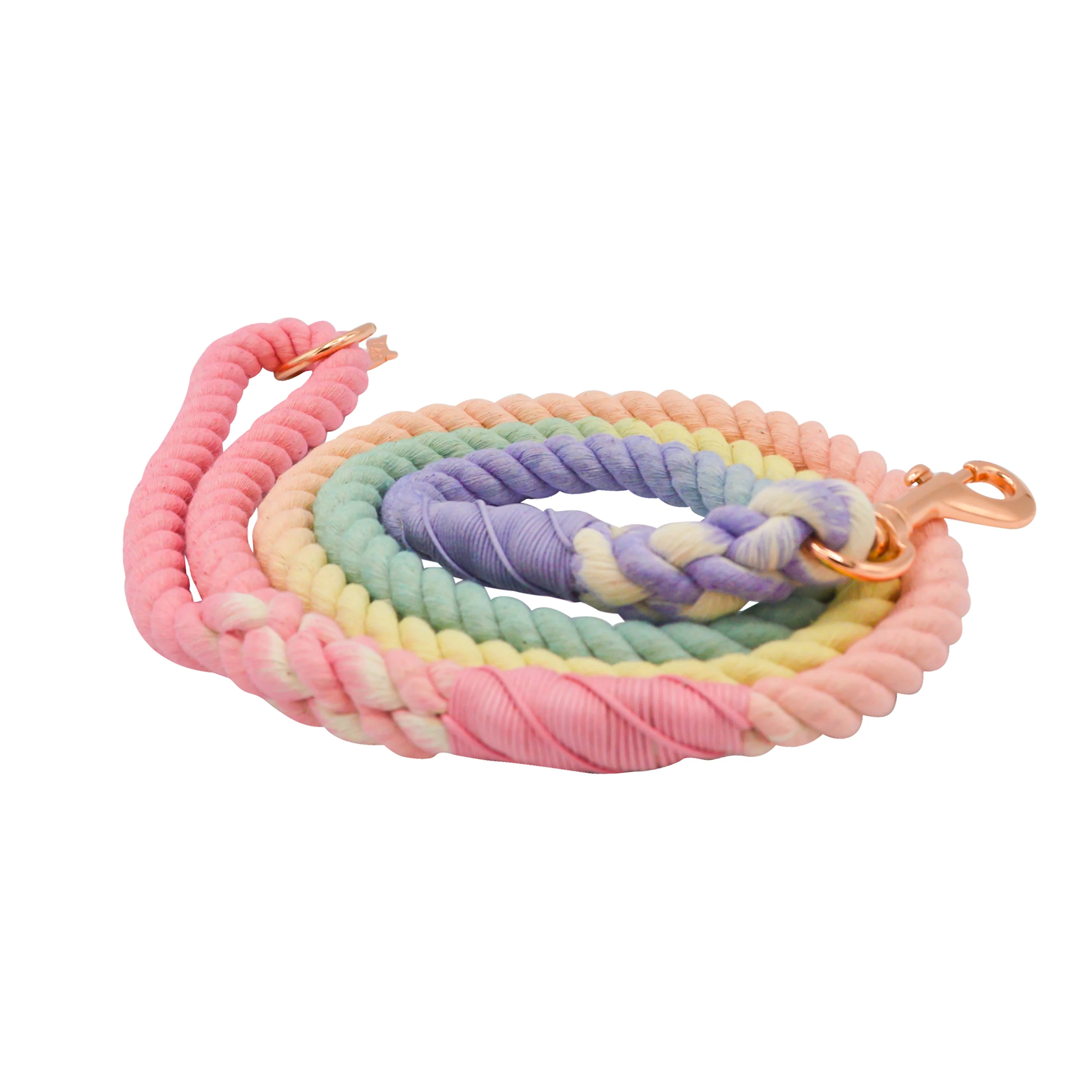 Dog Rope Leash - Rainbow Bright - Image 3