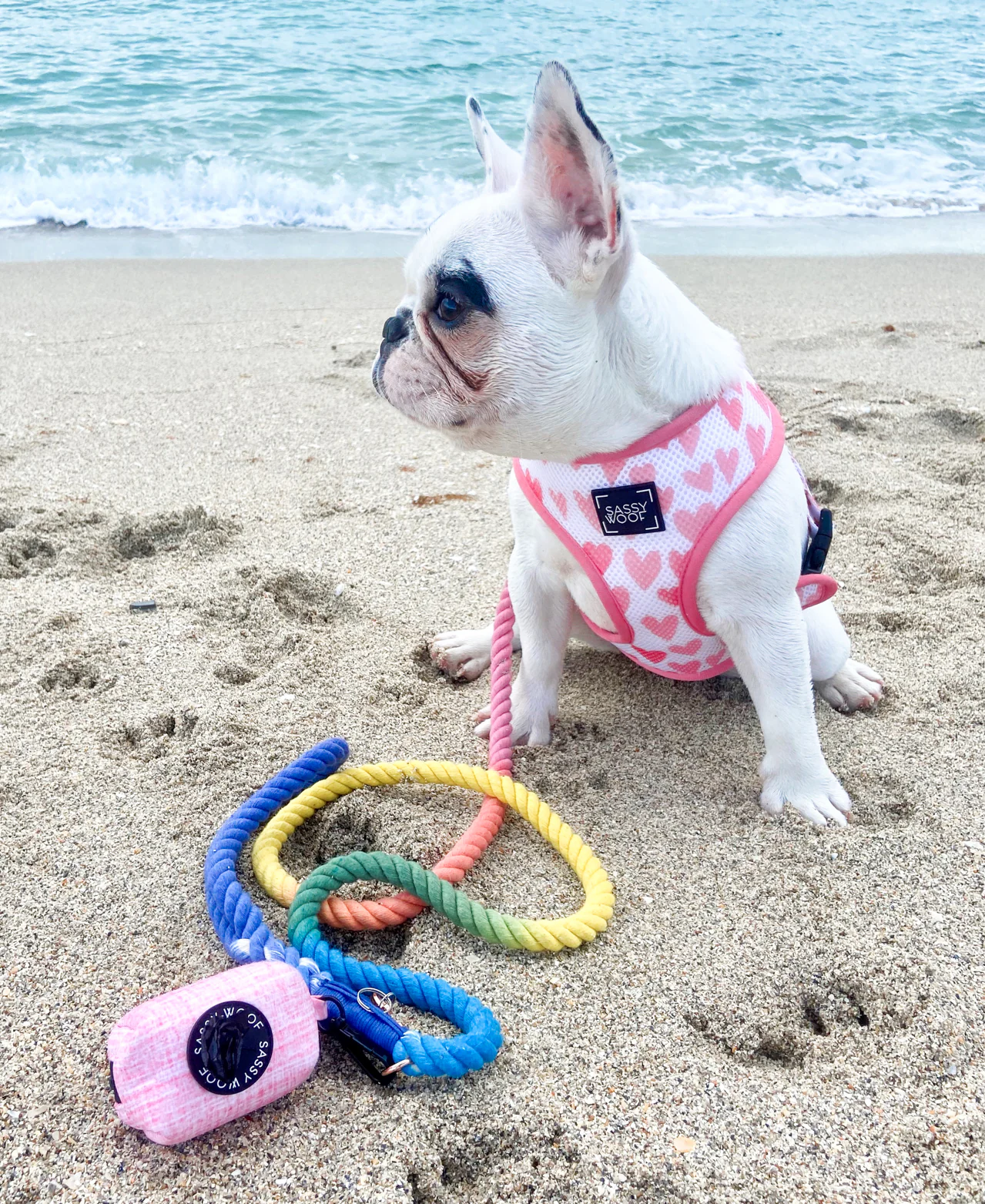 Dog Rope Leash - Sprinkles - Image 5