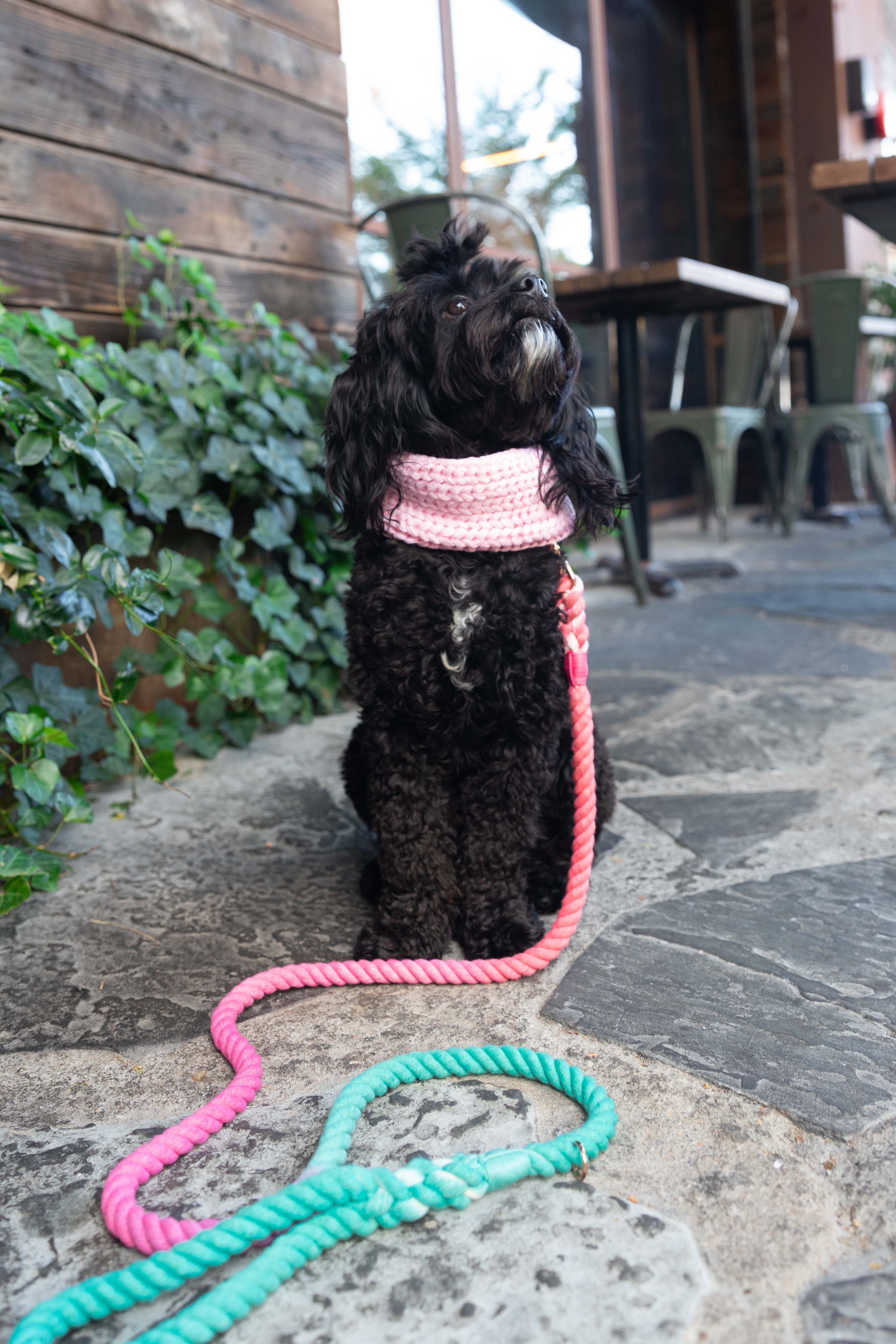 Dog Rope Leash - Unicorn - Image 7
