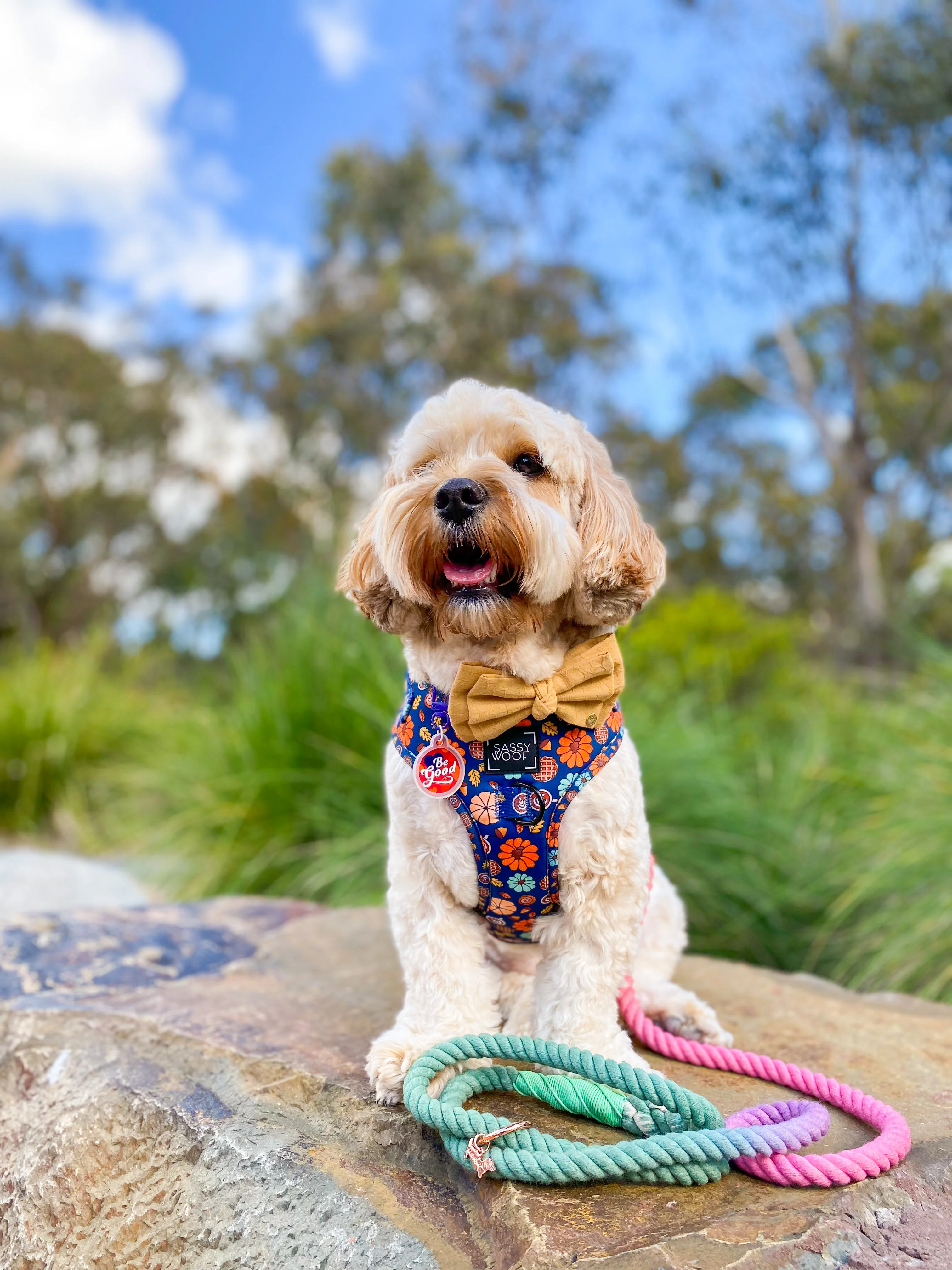 Dog Rope Leash - Unicorn - Image 8