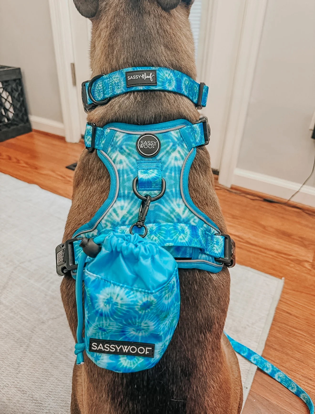 Dog Two Piece Bundle - Tropical Tides - Image 16