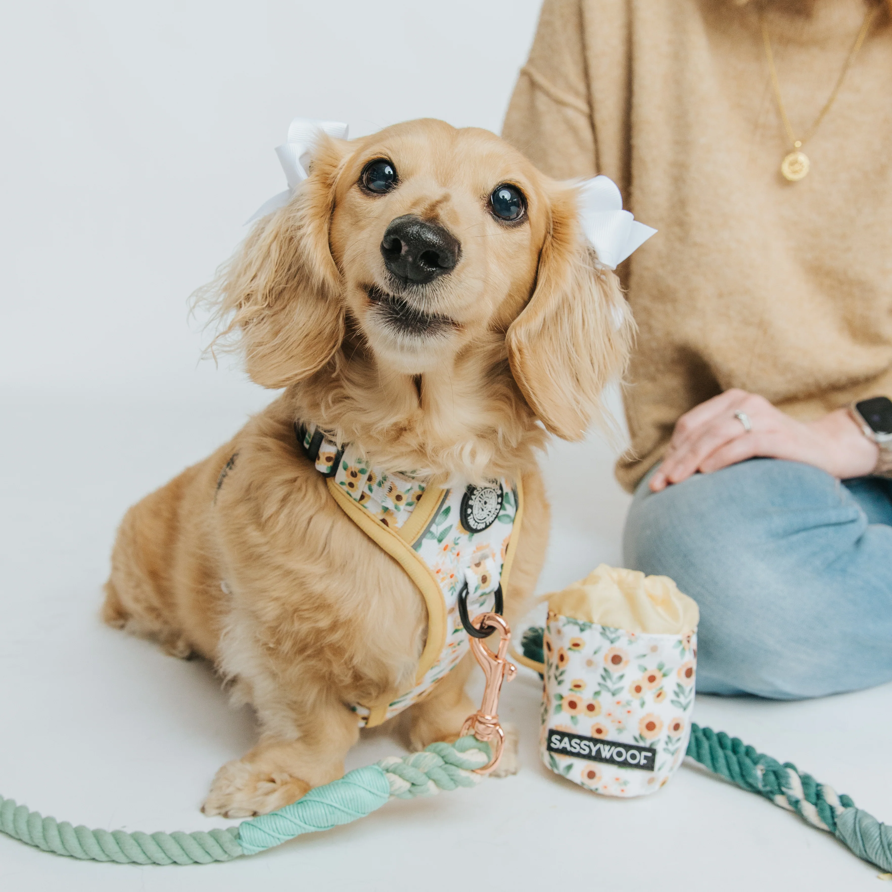 Treat Pouch - Sunflower Dreams - Image 3