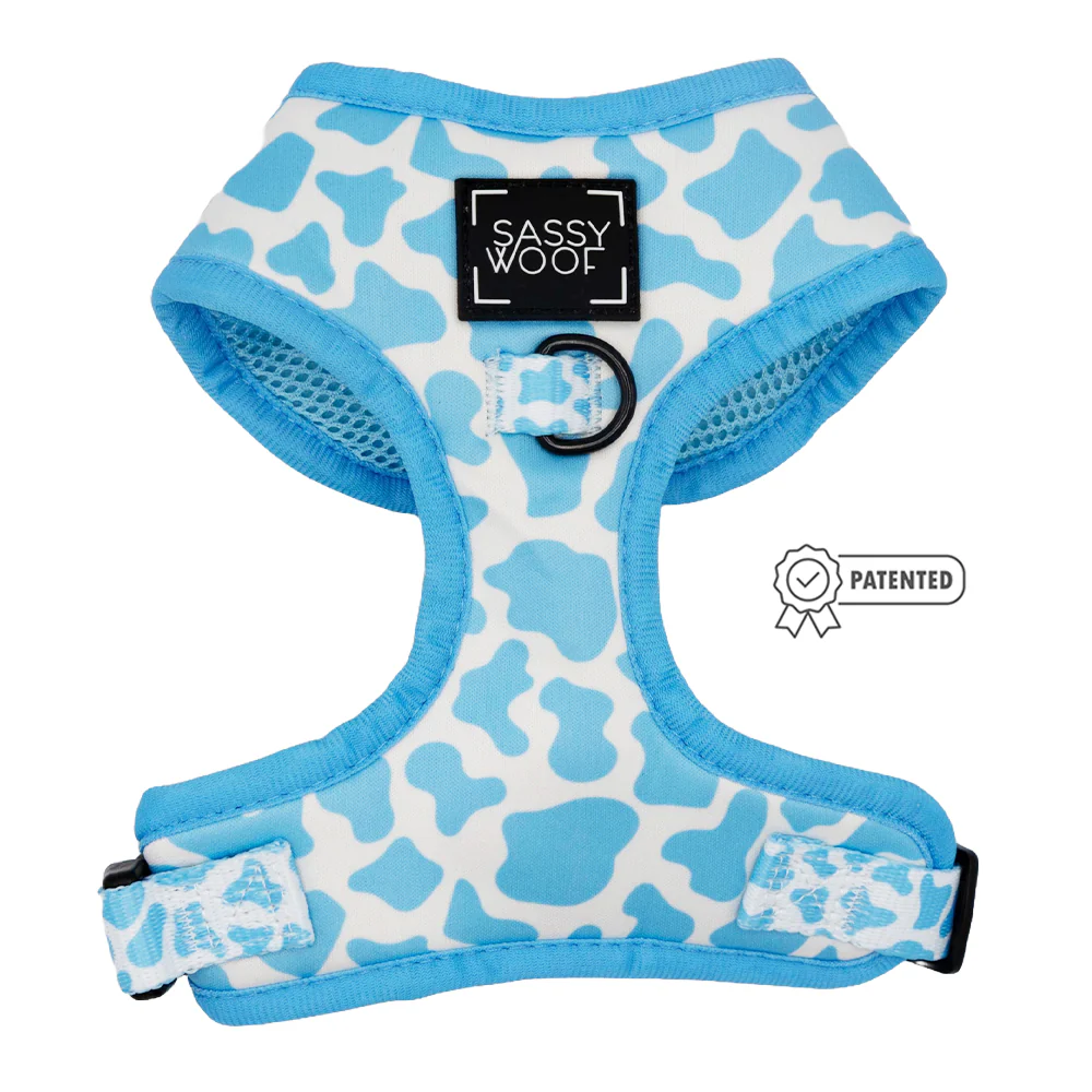 Dog Two Piece Bundle - Blueberry Milk - Image 2