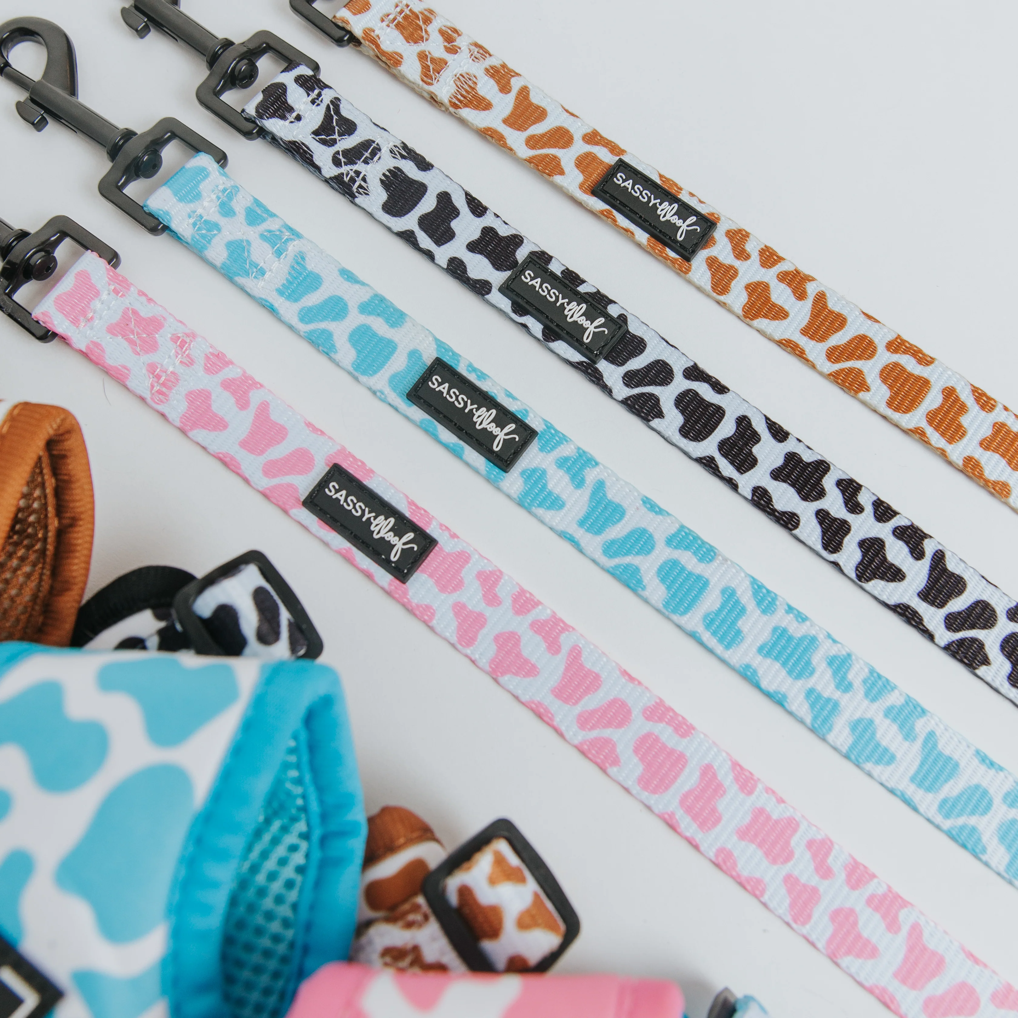 Dog Two Piece Bundle - Blueberry Milk - Image 8