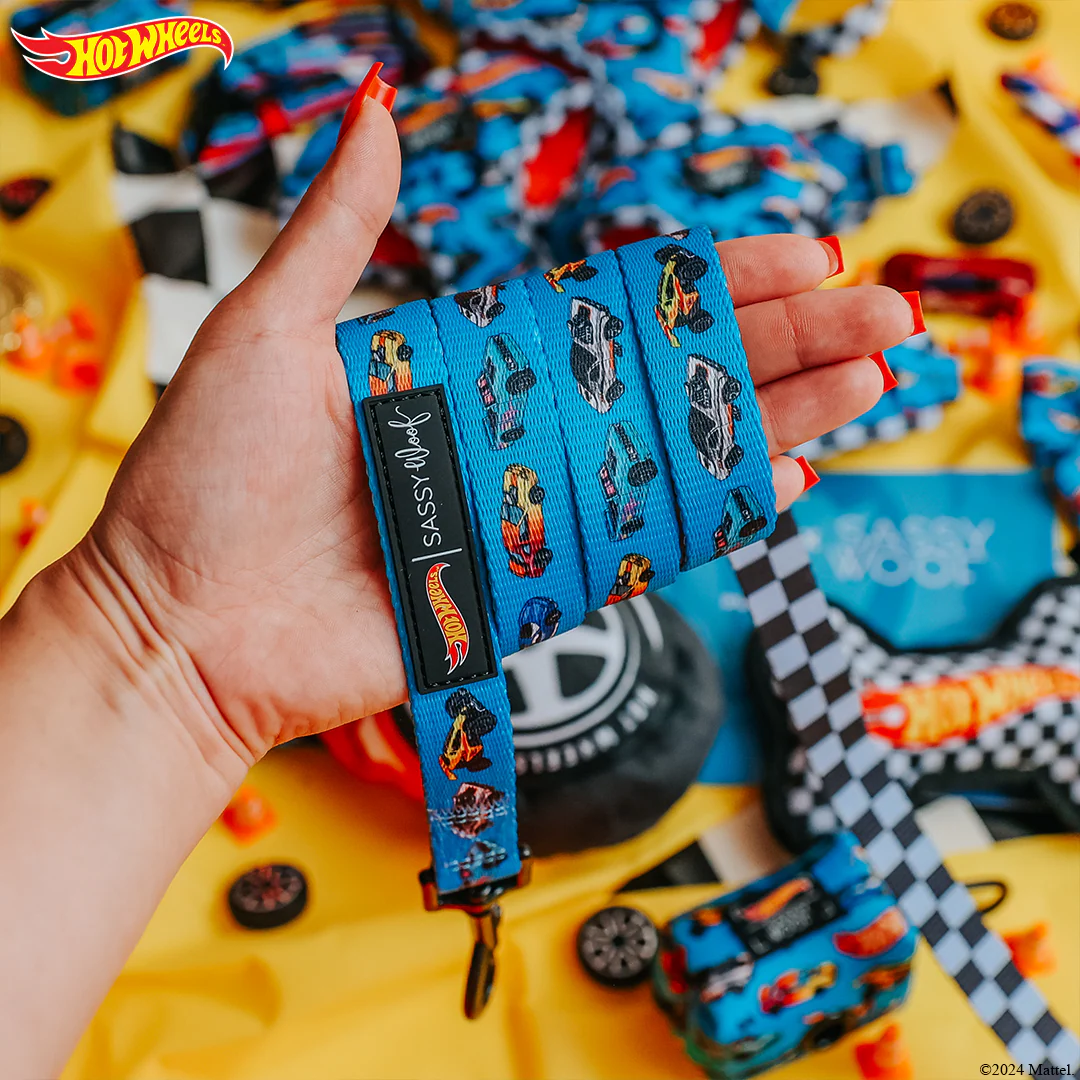 Dog Two Piece Bundle - Hot Wheels™ - Image 7