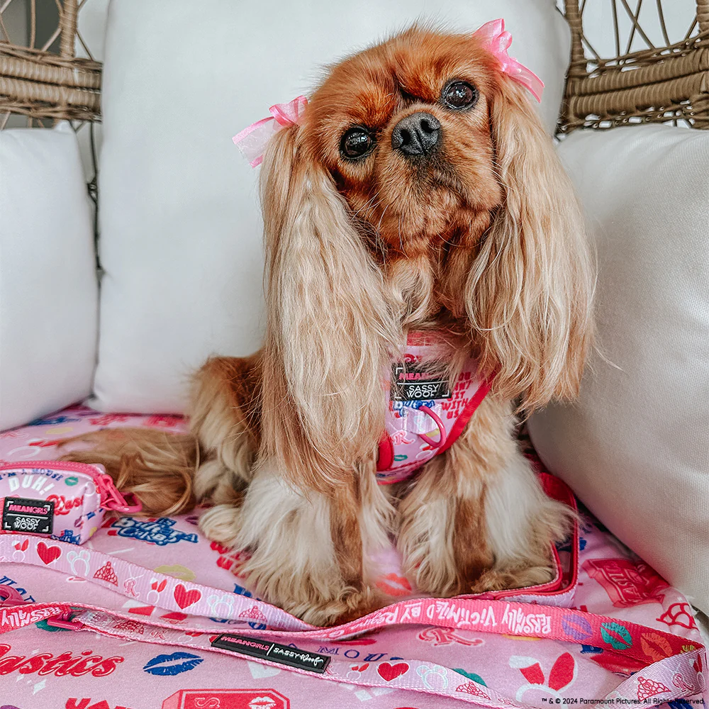 Dog Two Piece Bundle - Mean Girls™ - Image 12