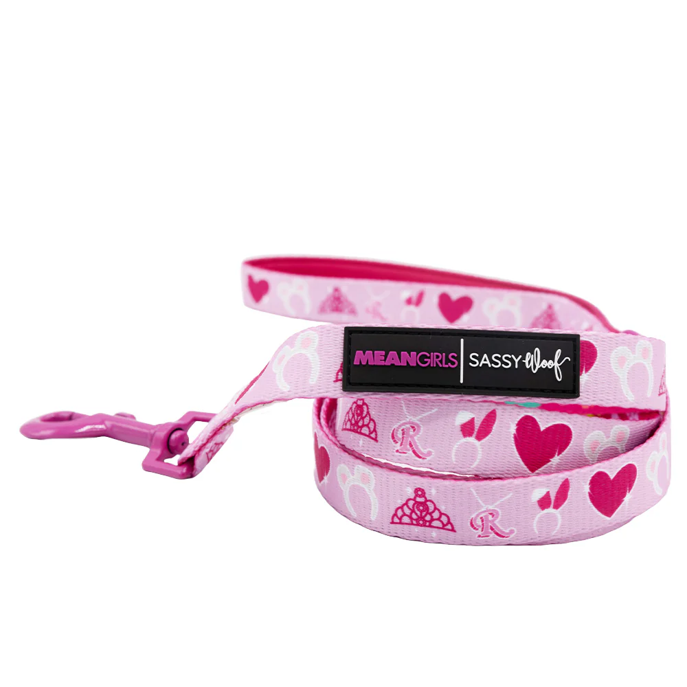 Dog Two Piece Bundle - Mean Girls™ - Image 3