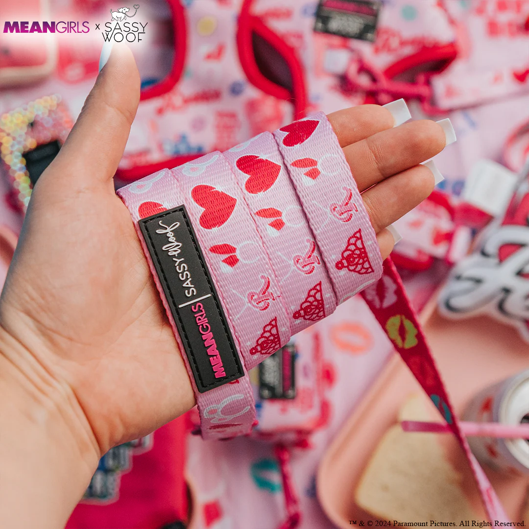 Dog Two Piece Bundle - Mean Girls™ - Image 7