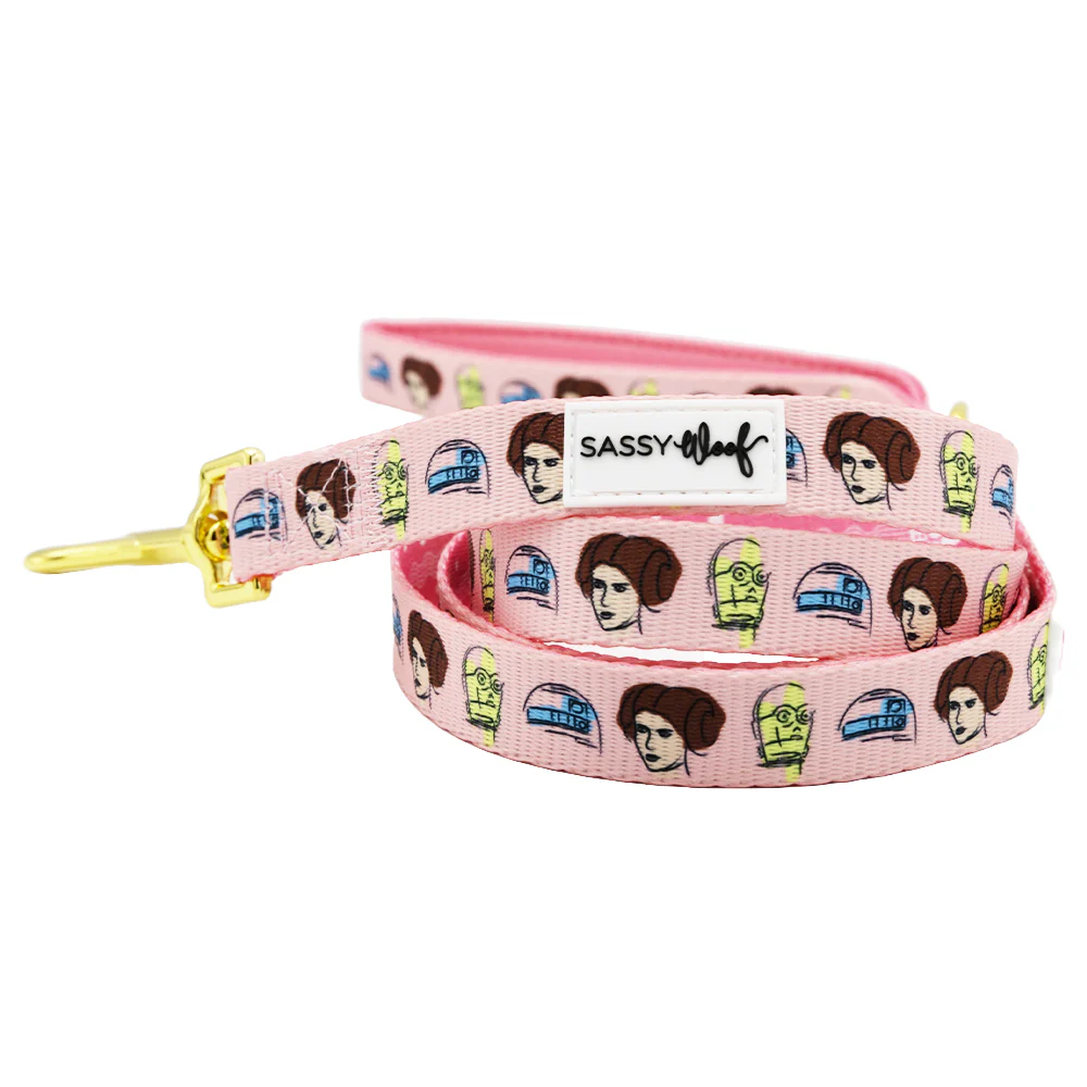 Dog Two Piece Bundle - STAR WARS™ Princess Leia - Image 3