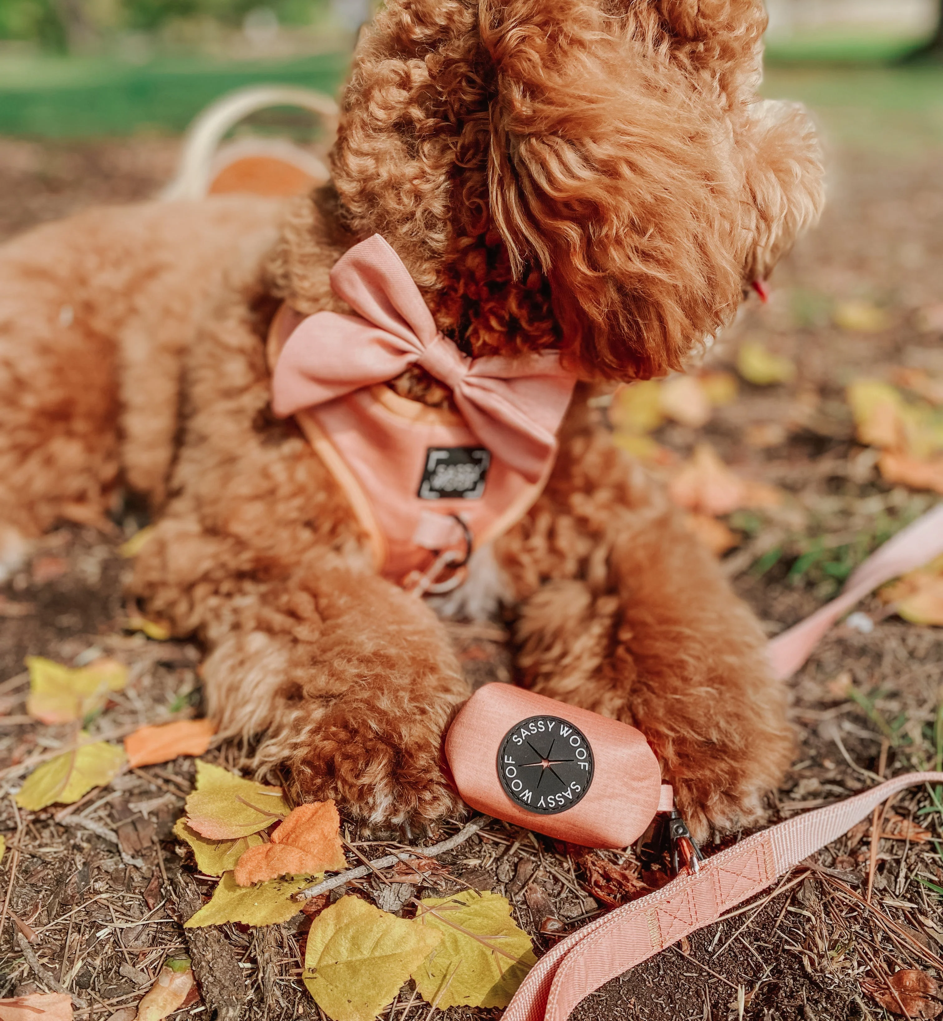 Dog Waste Bag Holder - Apple Cider - Image 4