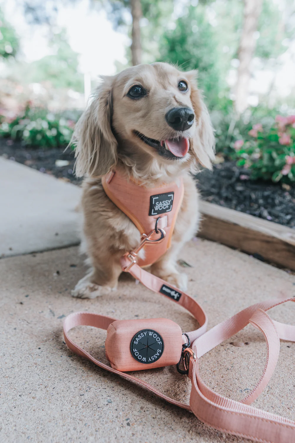 Dog Waste Bag Holder - Apple Cider - Image 7