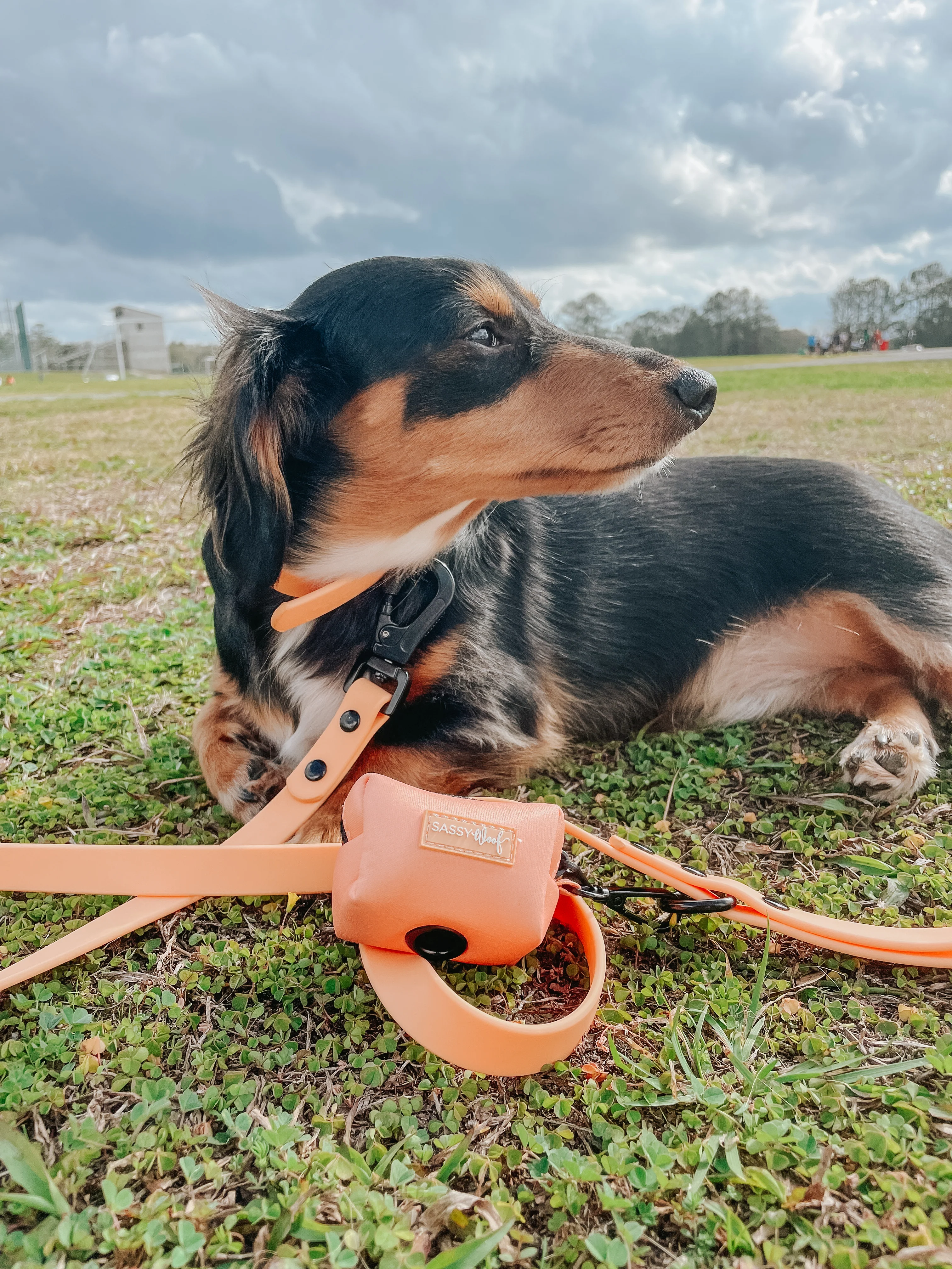 Dog Waste Bag Holder - Adventure Orange - Image 13