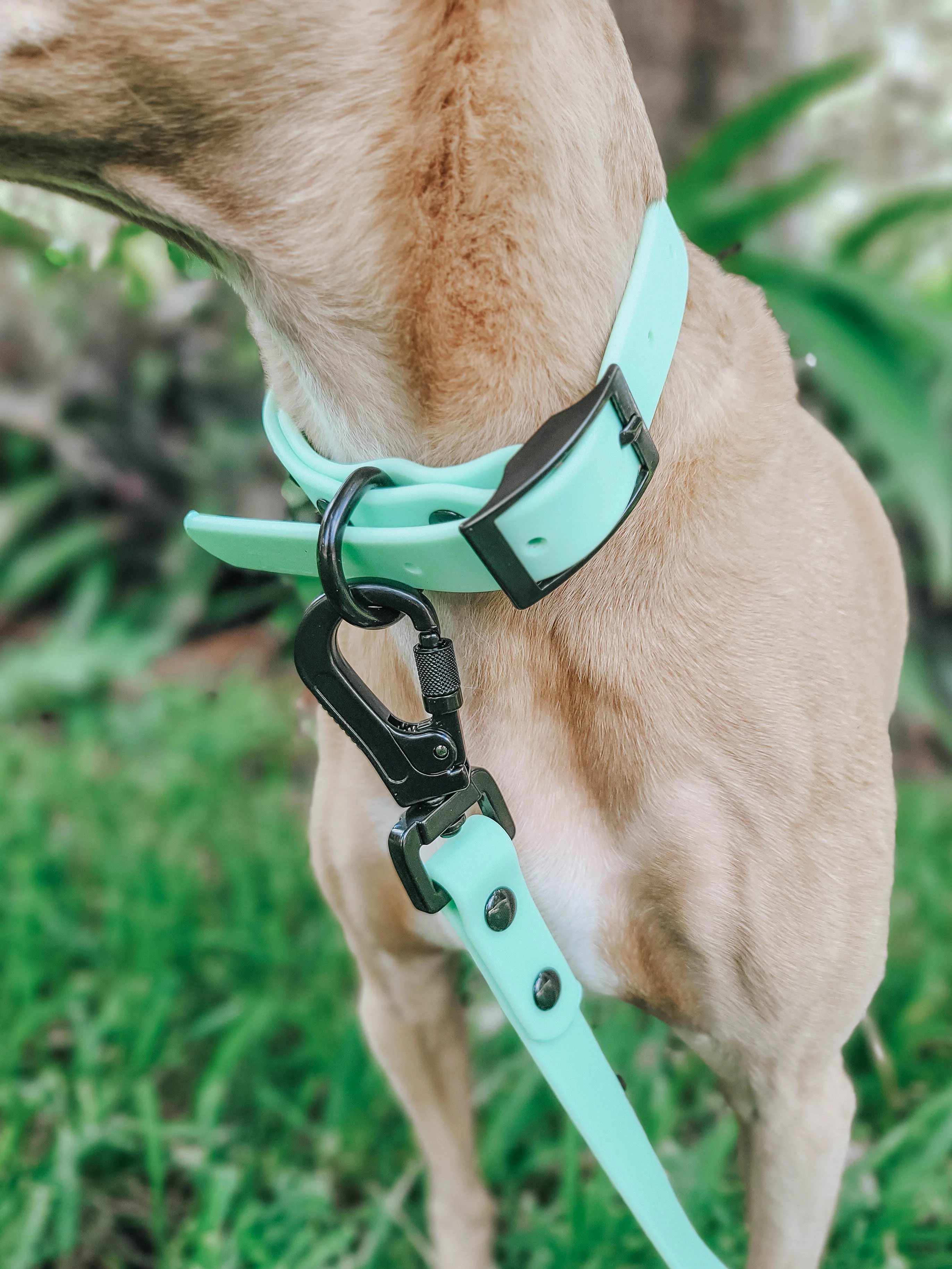 Dog Waterproof Collar - Green - Image 8
