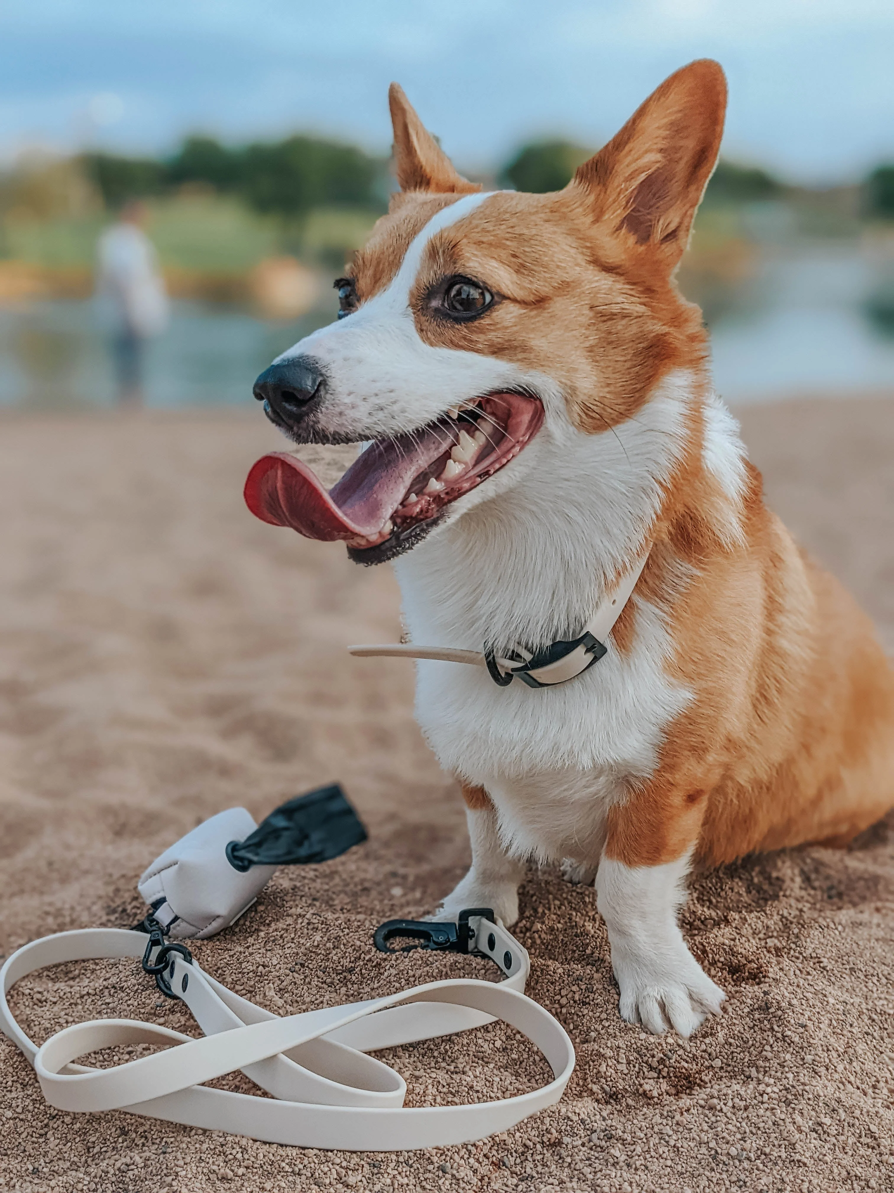 Dog Waterproof Leash - Beige - Image 9