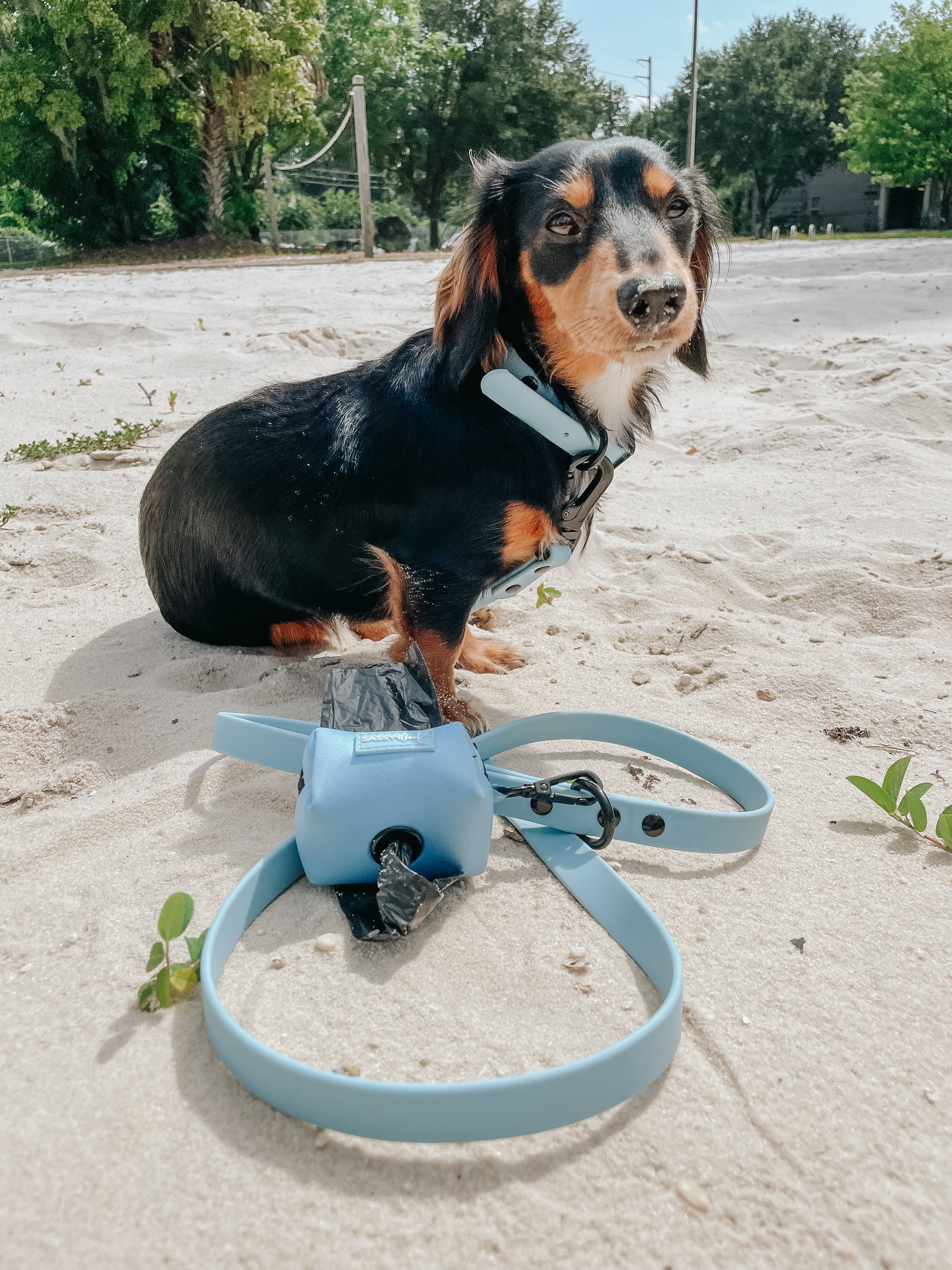 Dog Waterproof Leash - Blue - Image 12