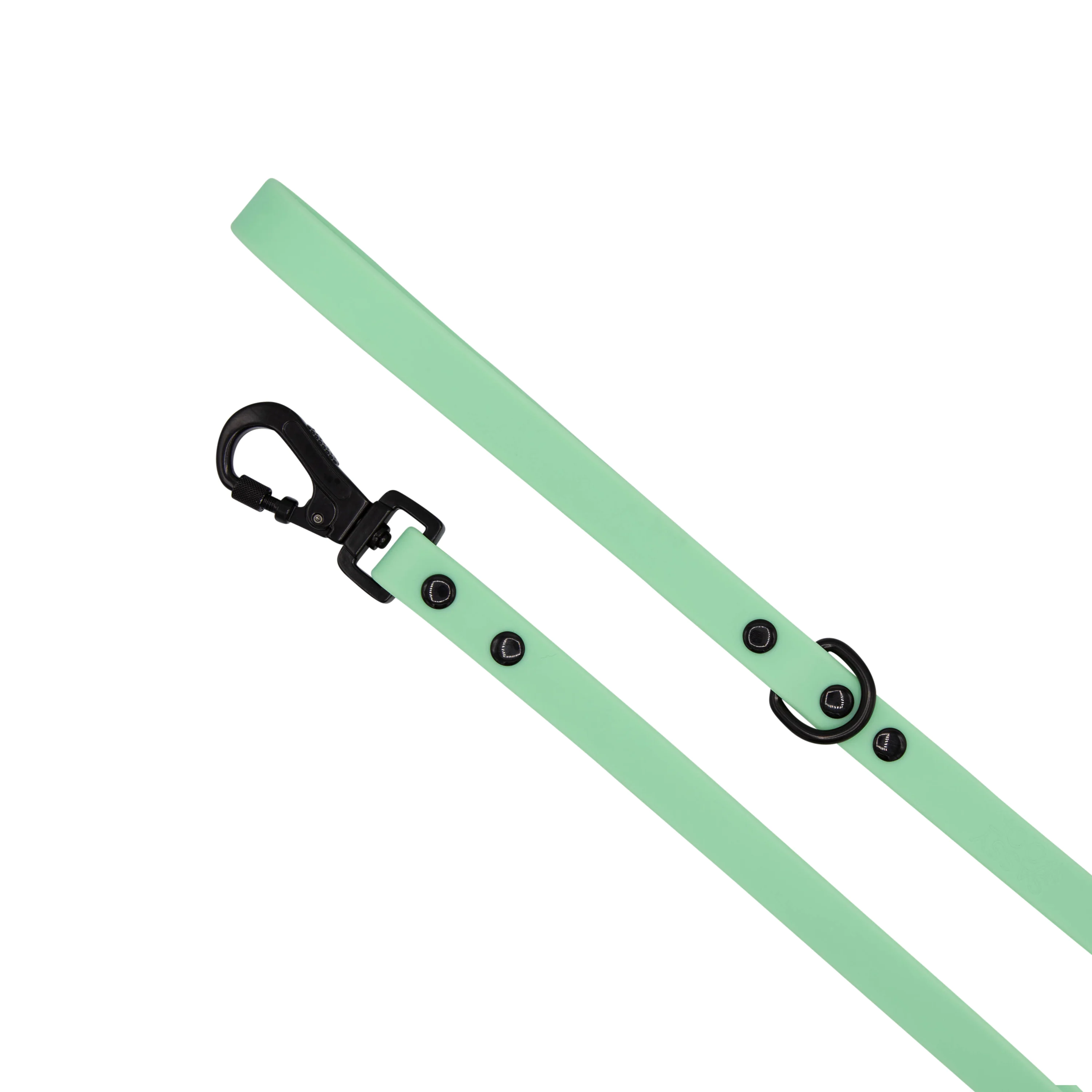 Dog Waterproof Leash - Green - Image 3
